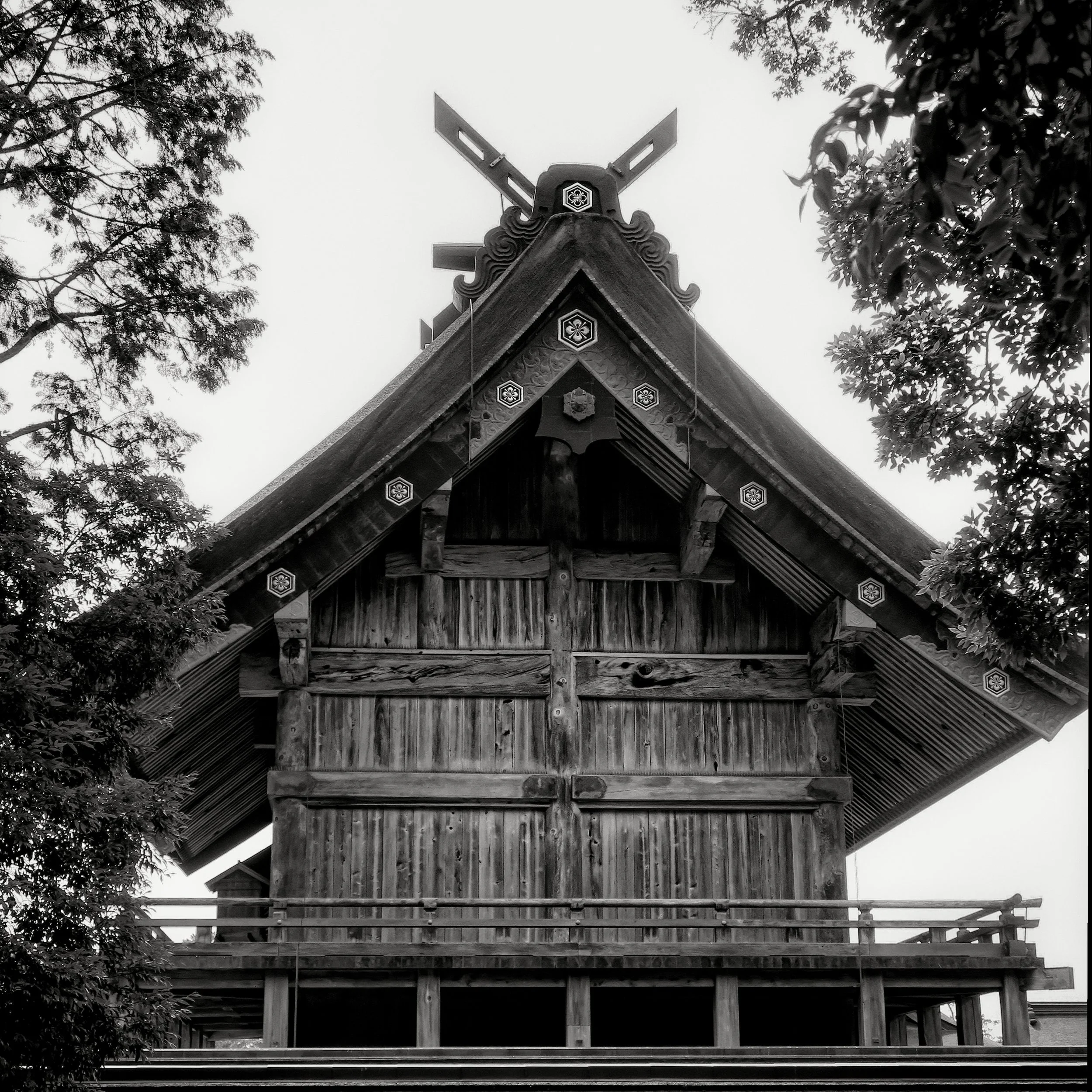 20190729 - 80_Nik_DxO.jpg