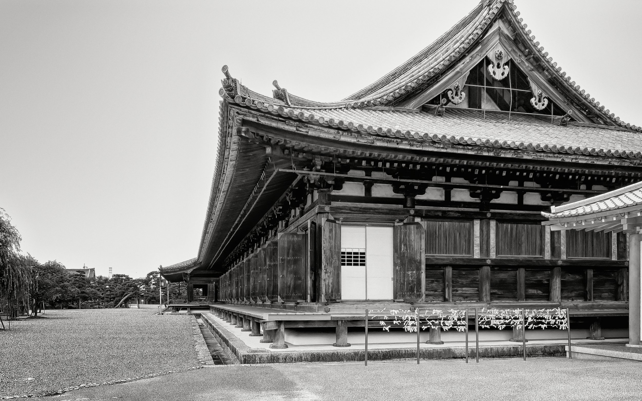 20190720 - 211_Nik_DxO.jpg