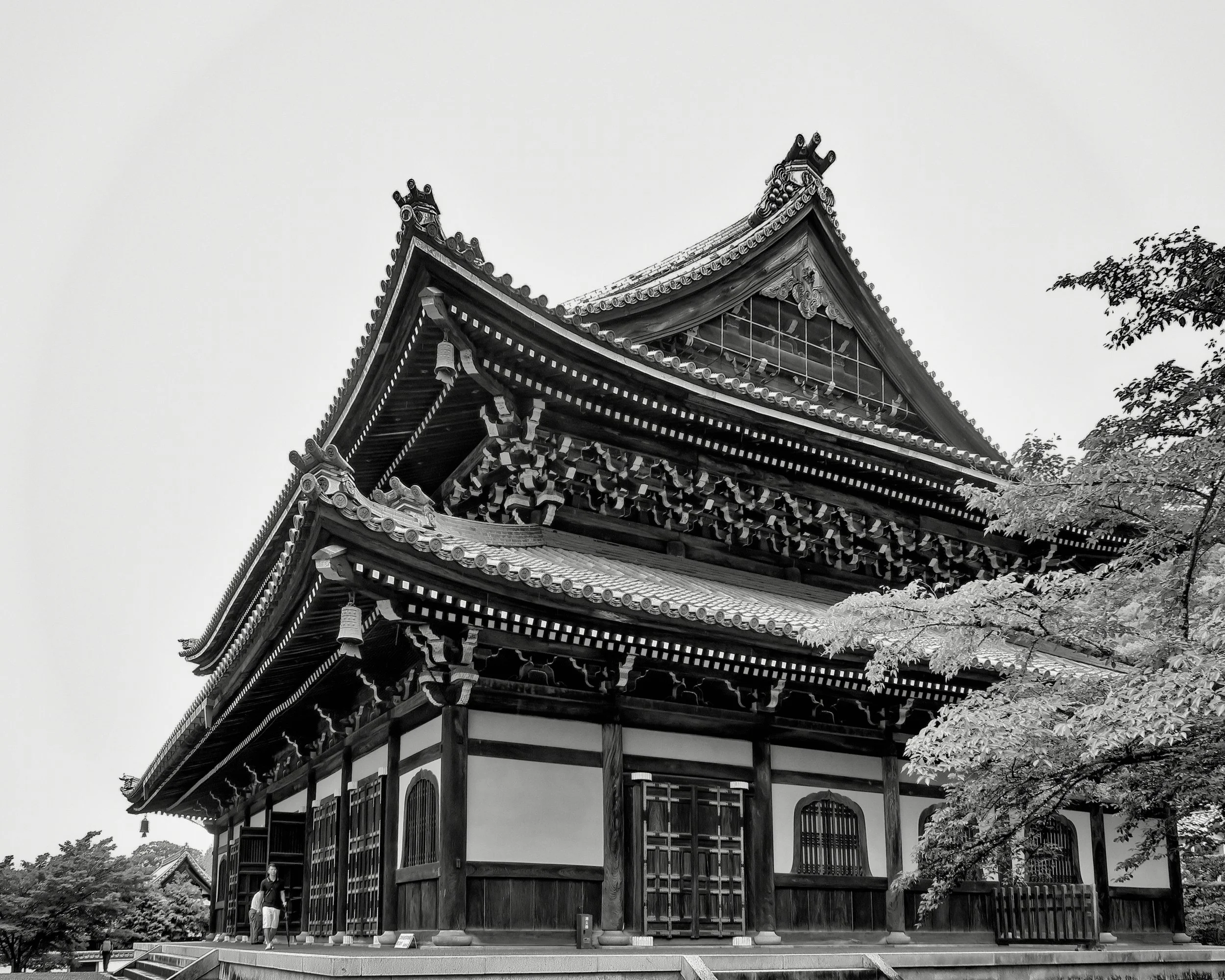 20190719 - 267_Nik_DxO.jpg