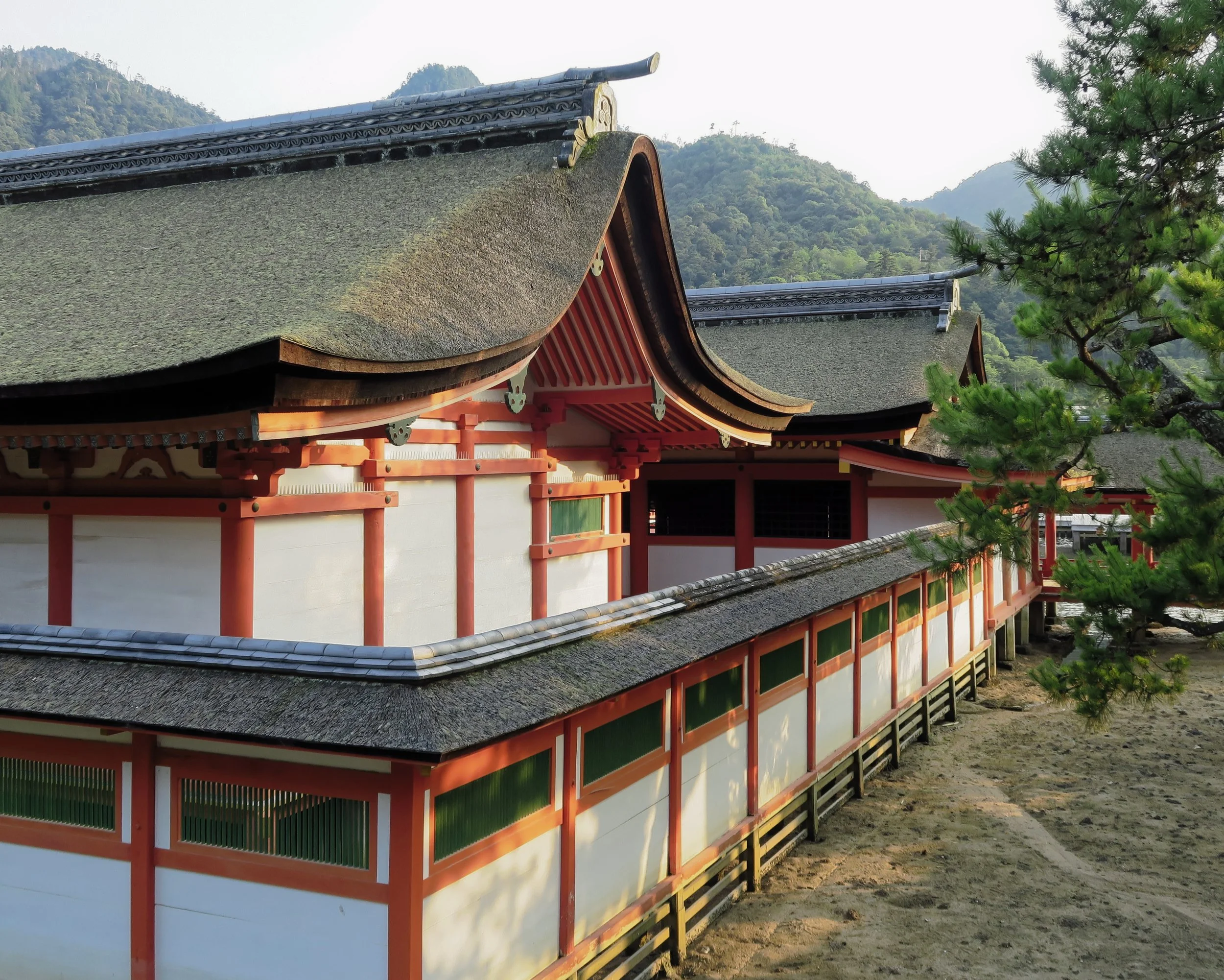 20190726 - 146_DxO.jpg