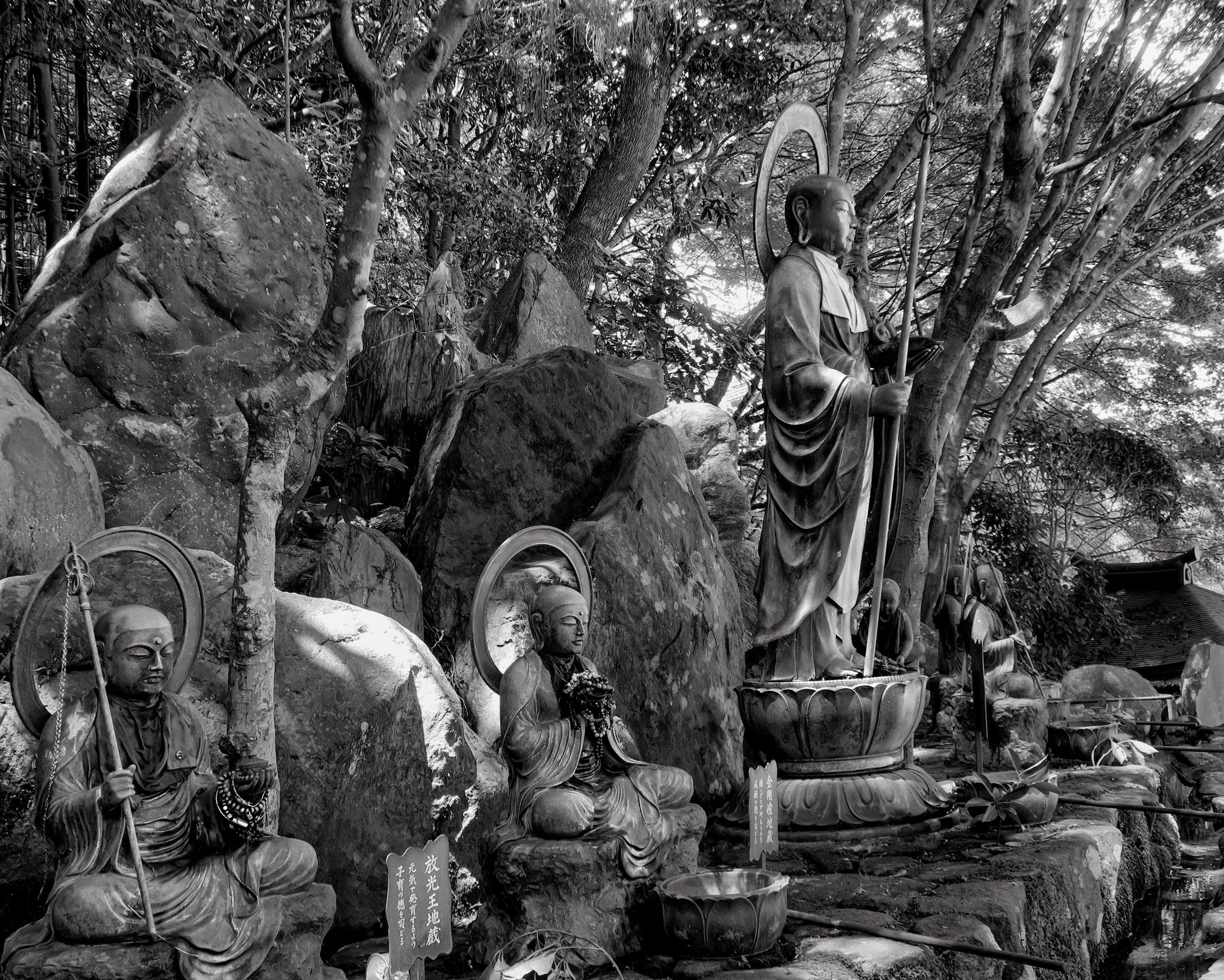 20190726 - 79_Nik_DxO.jpg