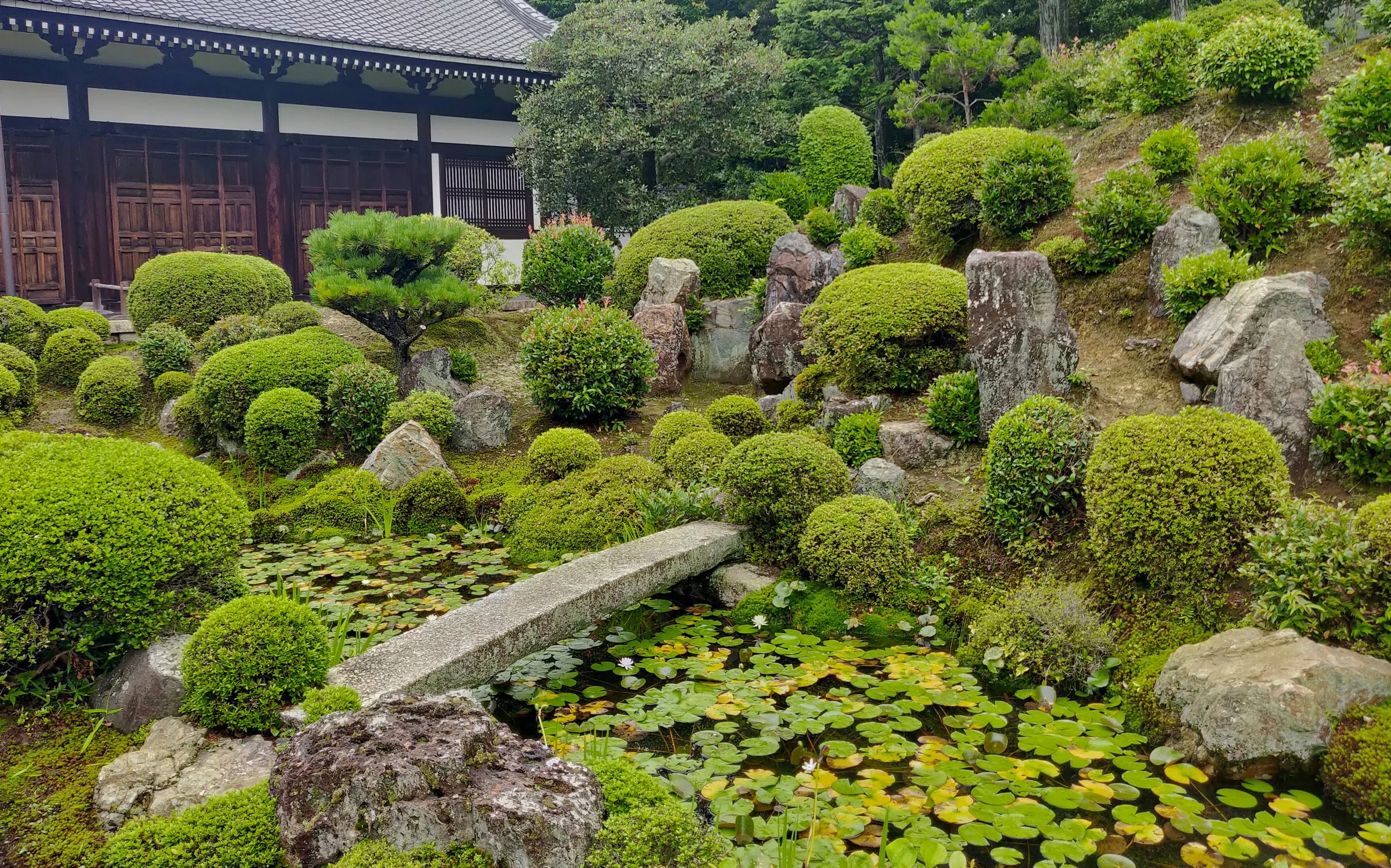 20190720 - 168_DxO.jpg