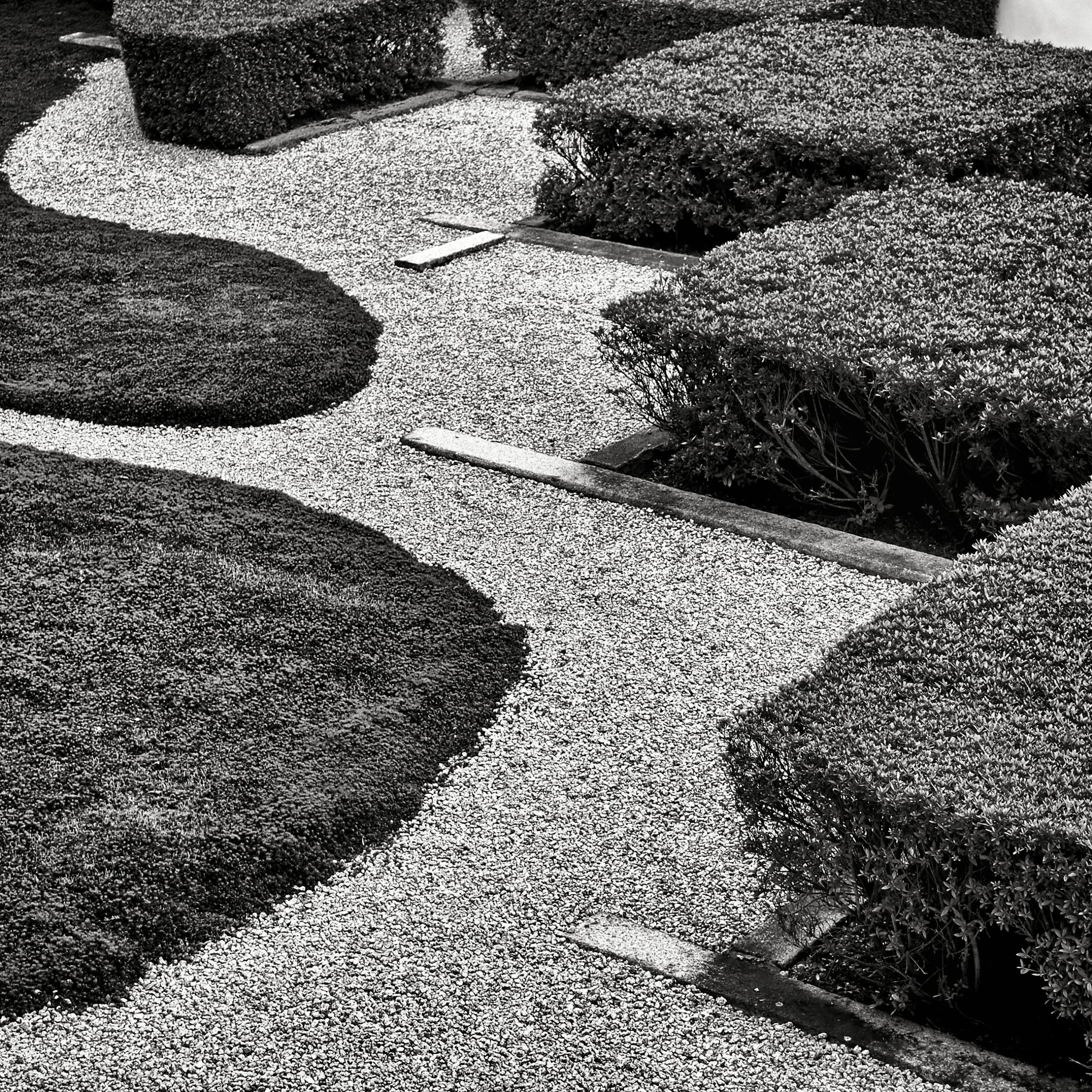 20190720 - 108_Nik_DxO.jpg