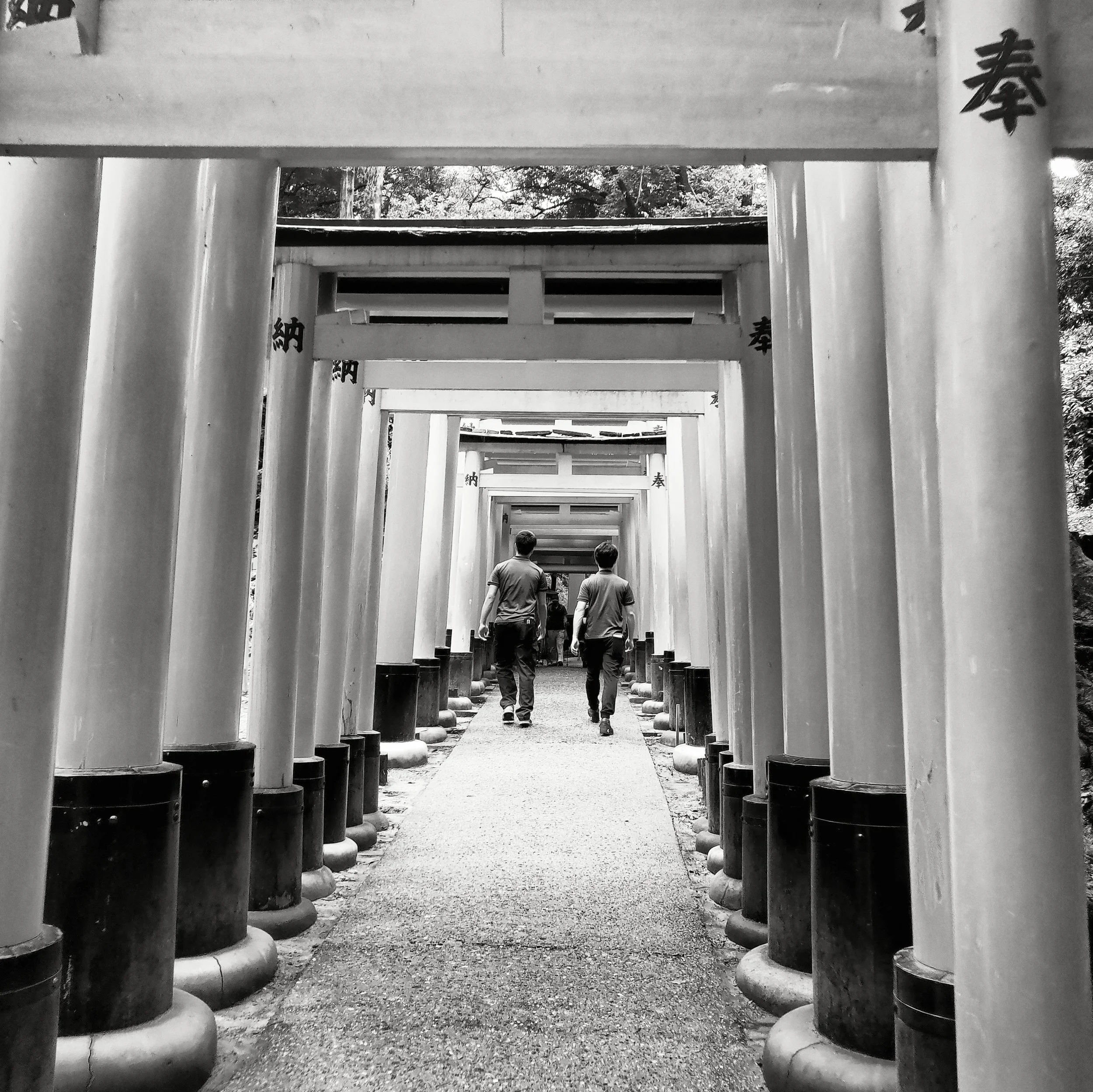 20190720 - 31_Nik_DxO.jpg