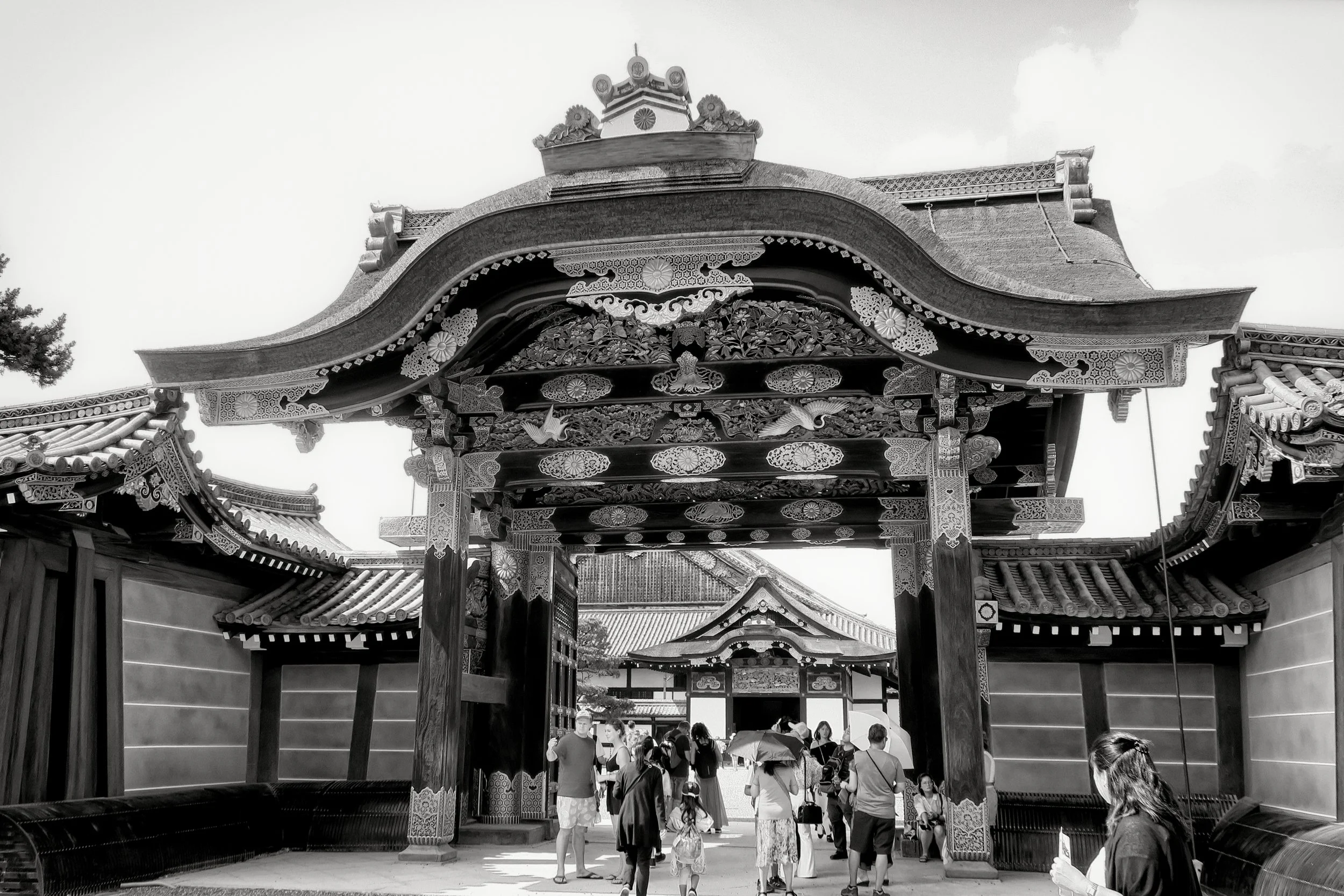 20190717 - 172_Nik_DxO.jpg