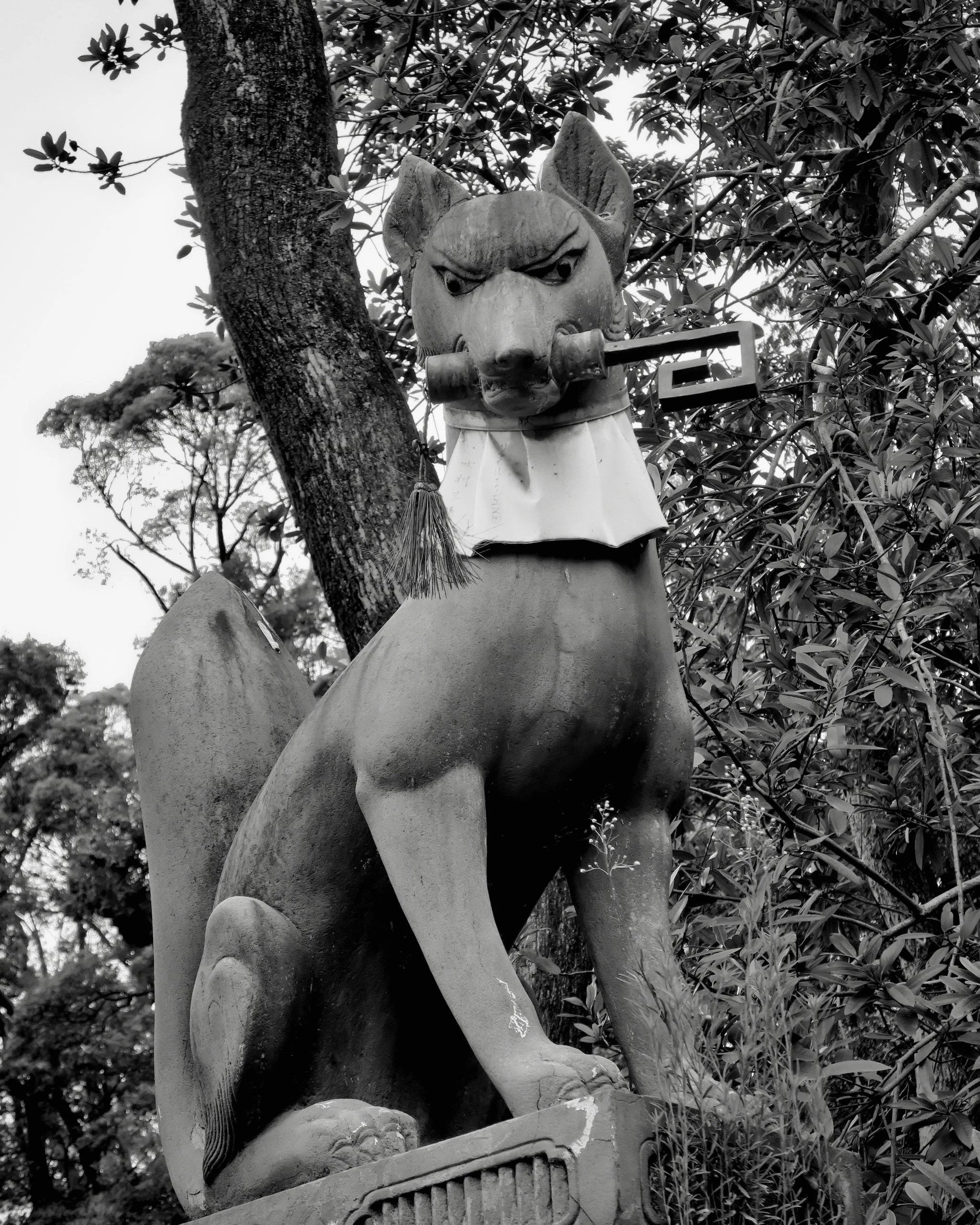 20190720 - 45_Nik-SEP_DxO.jpg