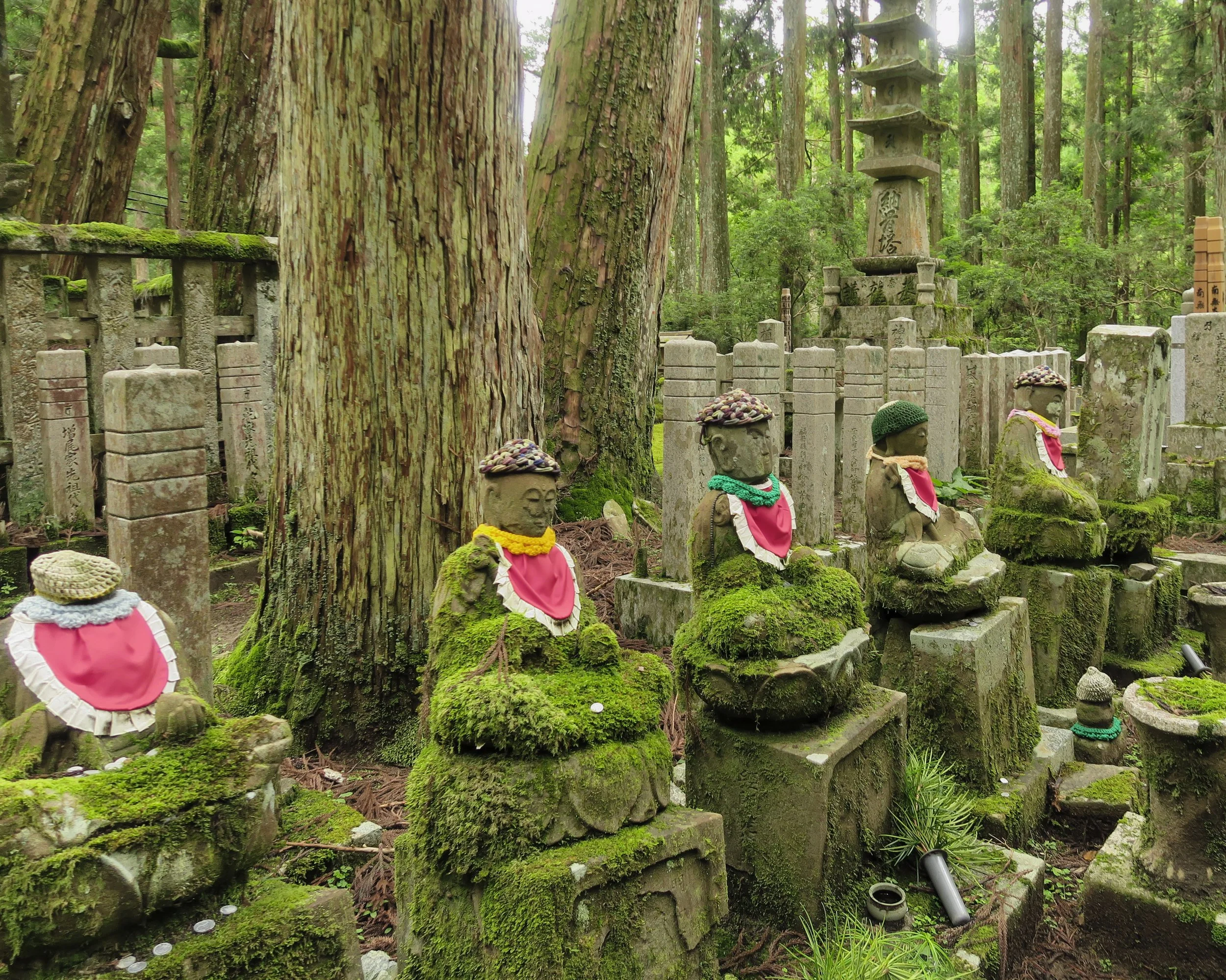 20190722 - 153_DxO.jpg