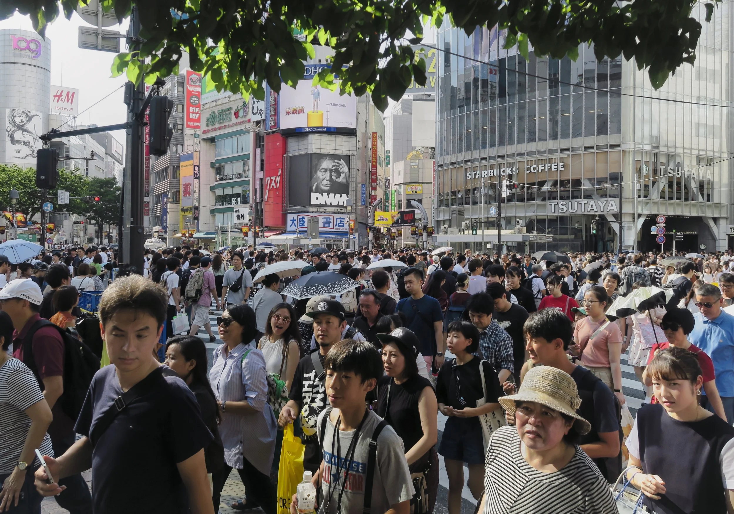 20190811 - 128_Nik-Viveza-CEP_DxO.jpg