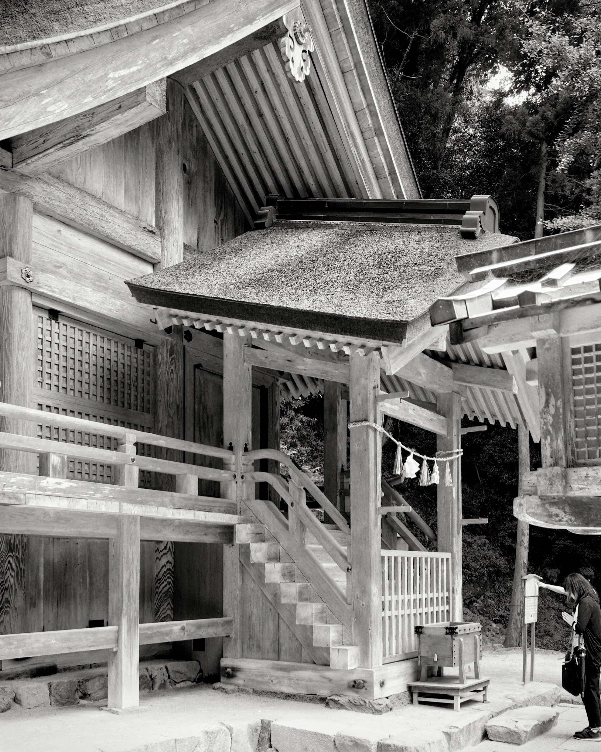 20190729 - 75_Nik_DxO.jpg