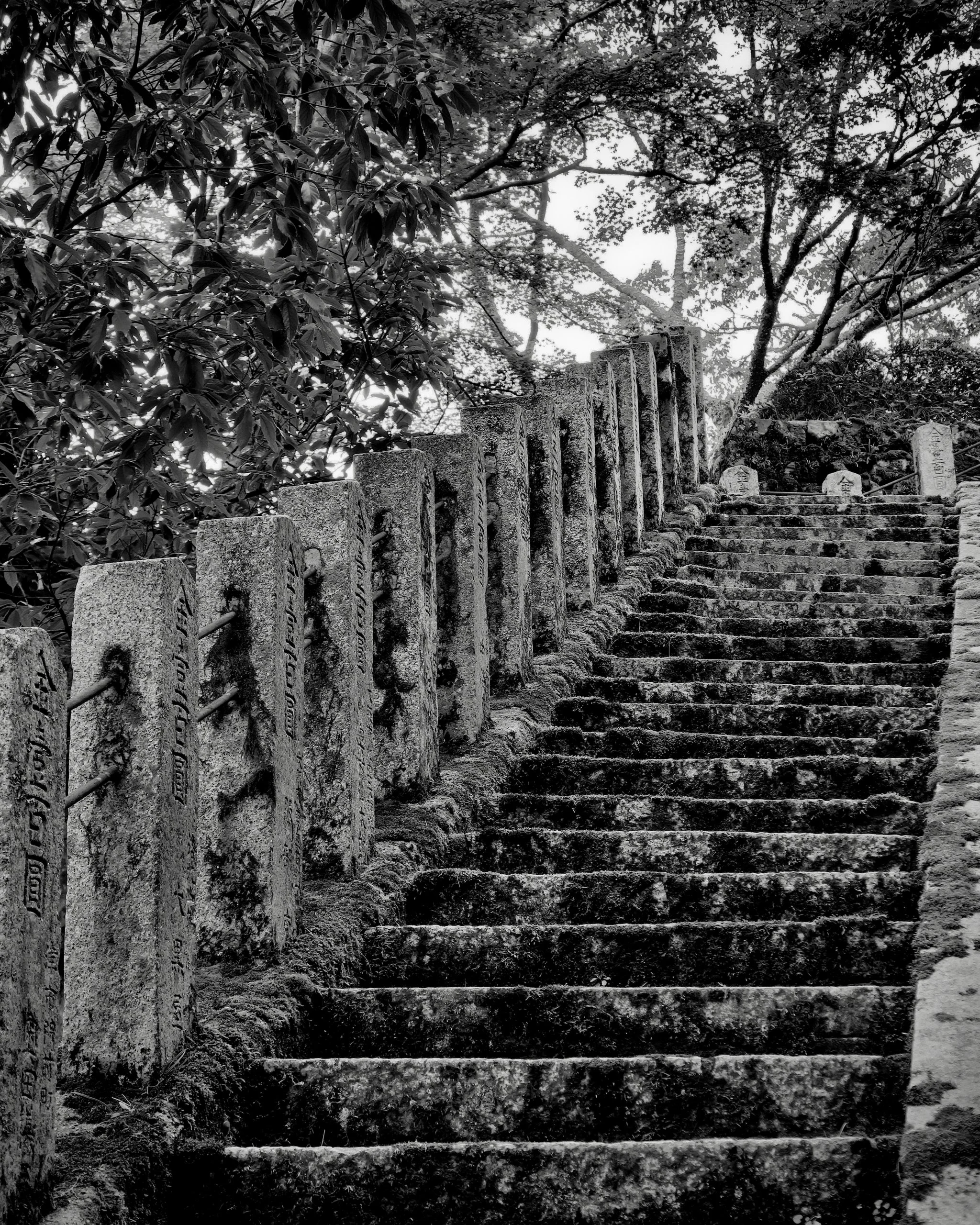 20190715 - 55_Nik_DxO.jpg