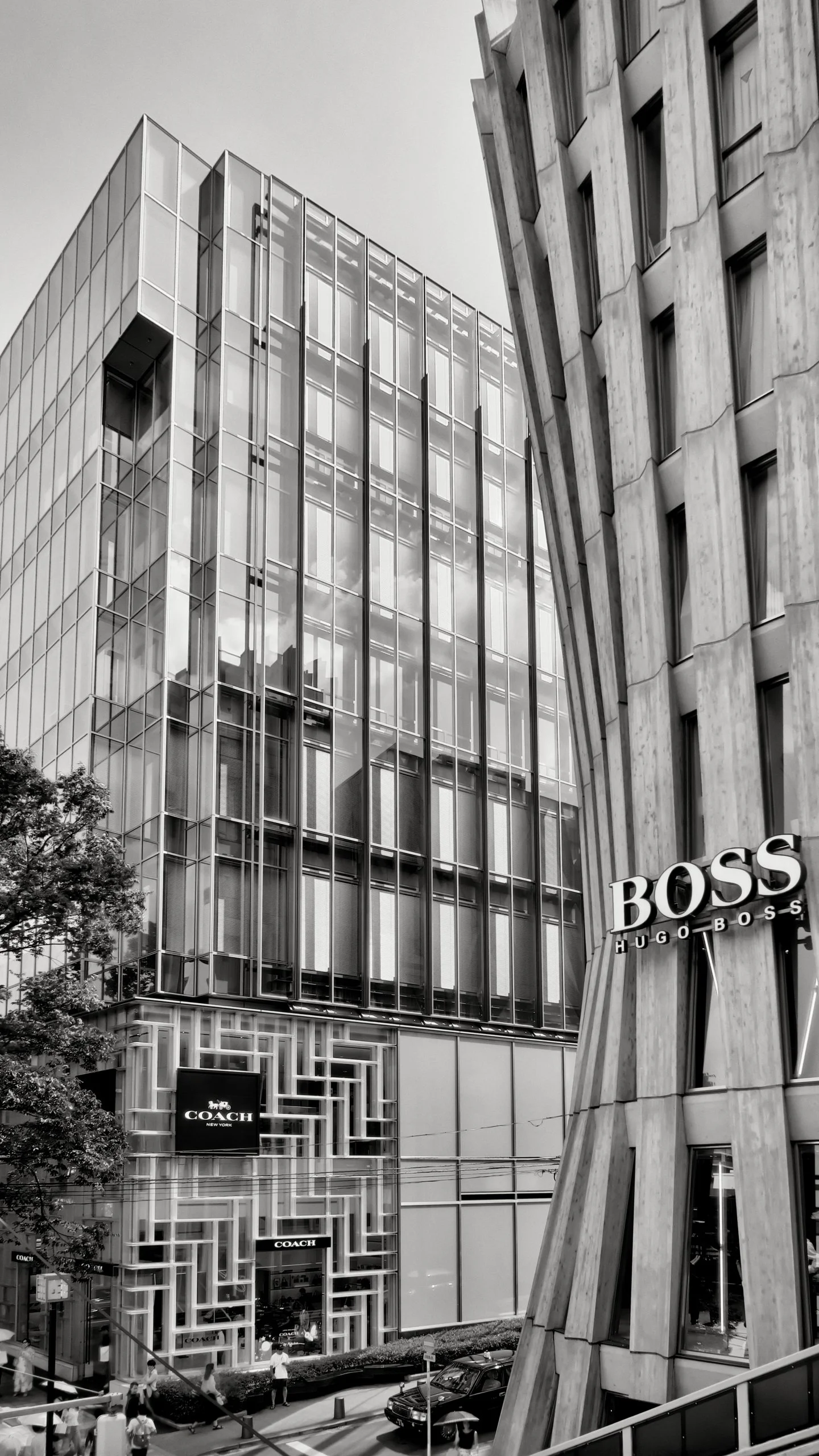 20190811 - 86_Nik_DxO.jpg