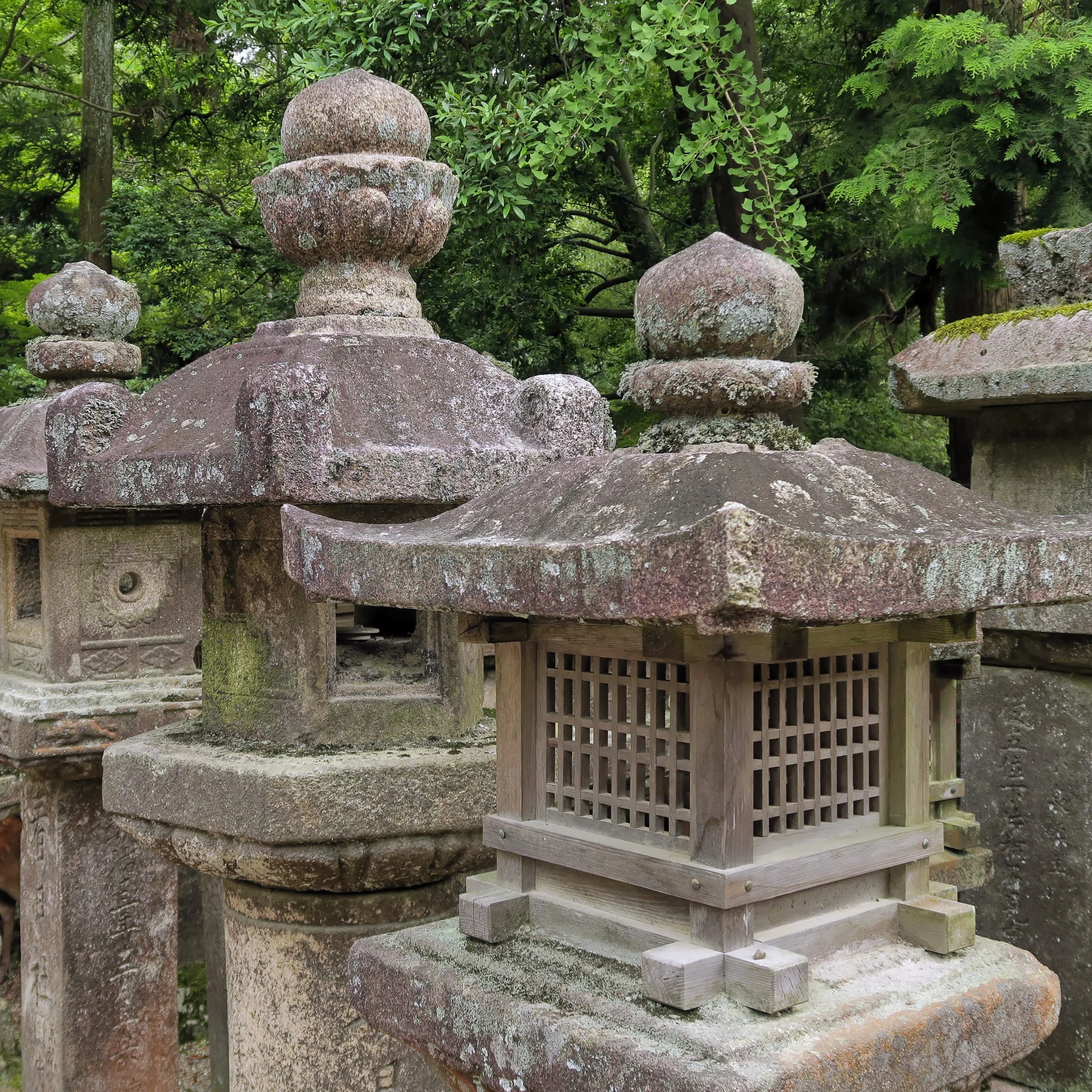 20190716 - 201_DxO.jpg