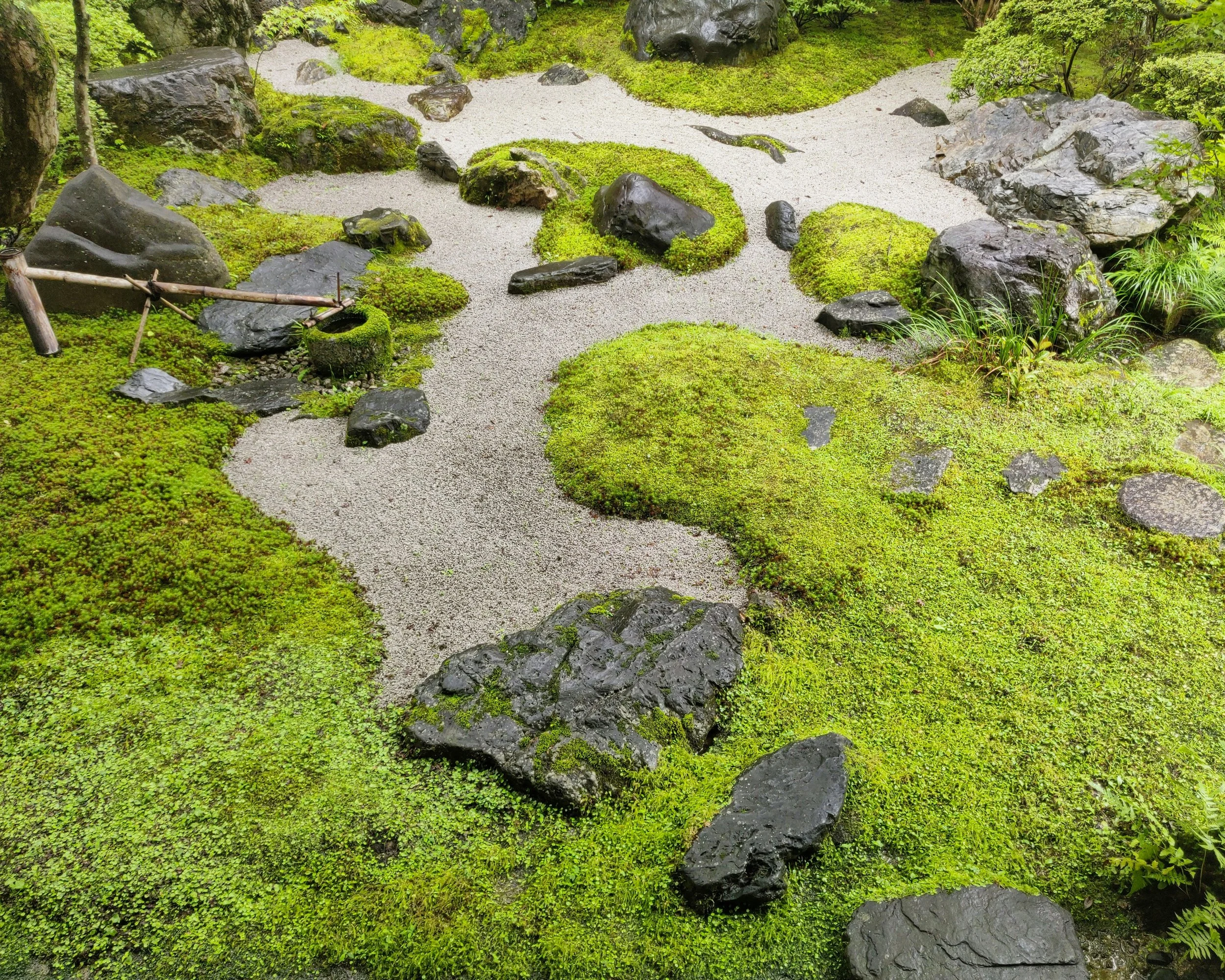 20190719 - 203_DxO.jpg