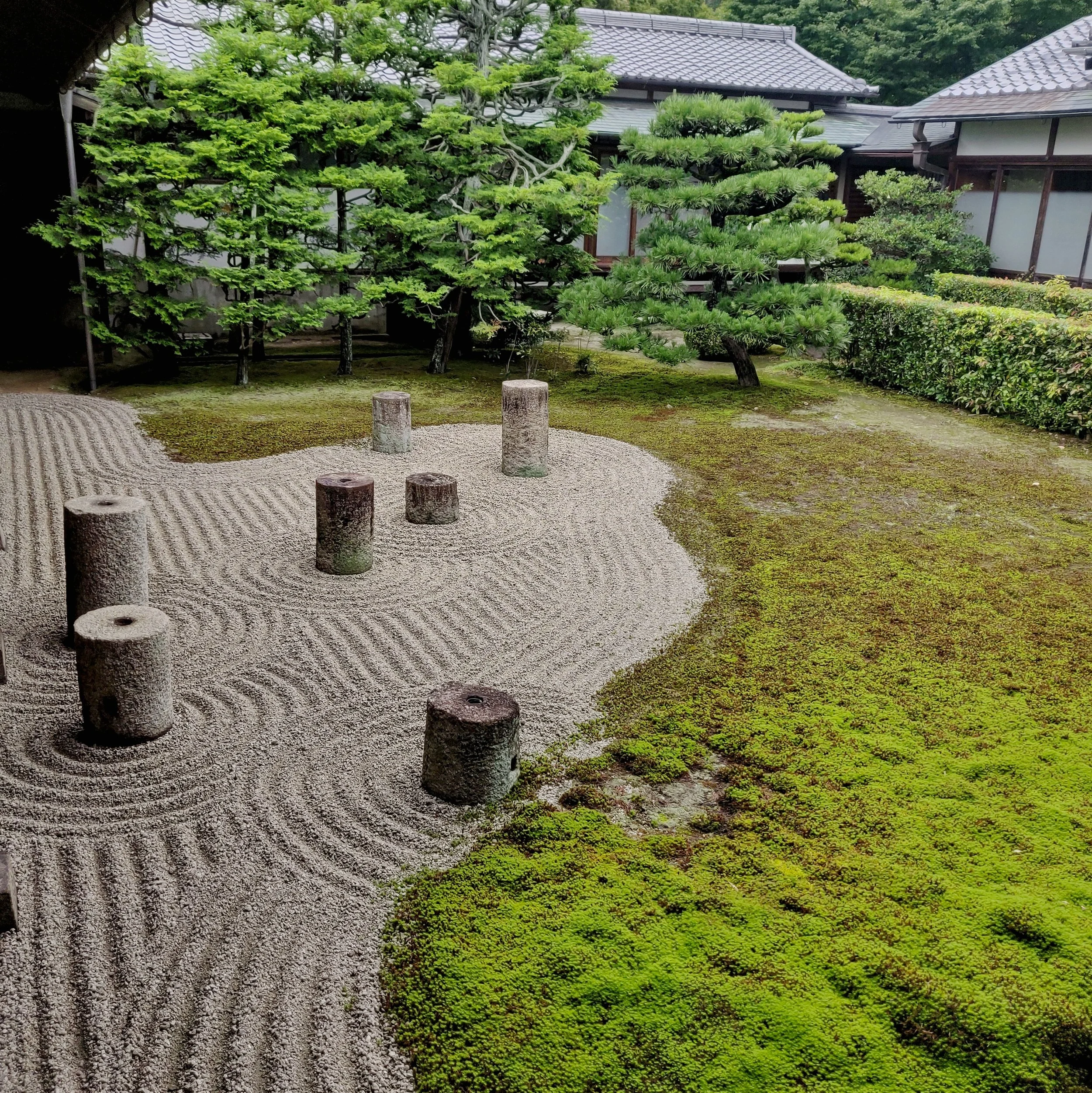 20190720 - 68_DxO.jpg