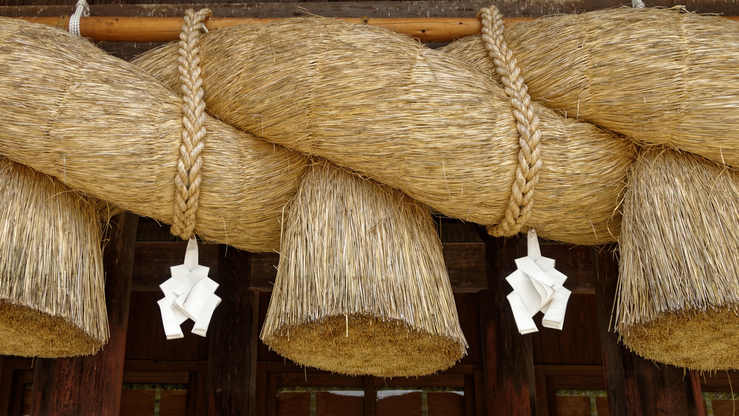 20190729 - 21_DxO.jpg