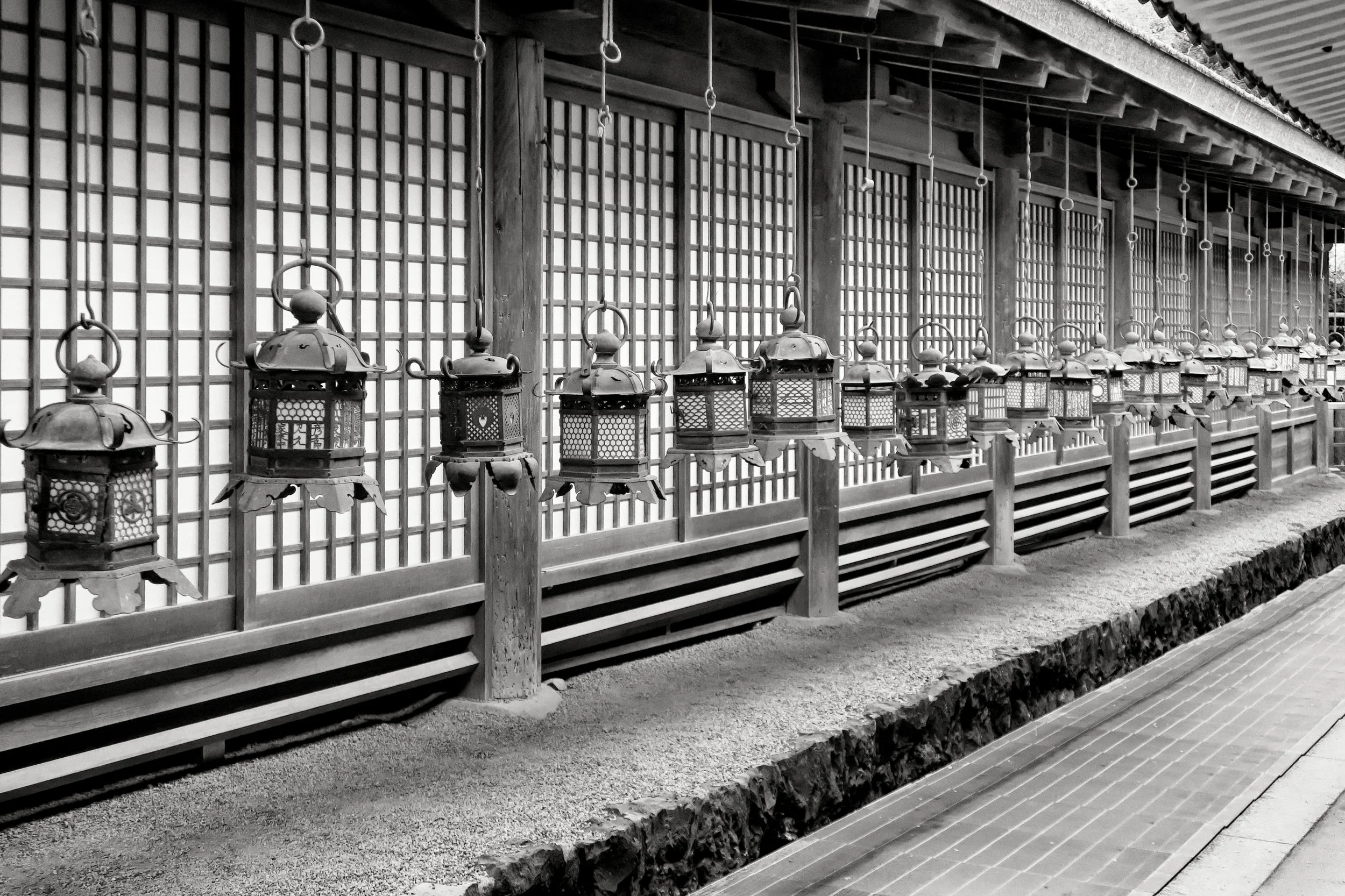 20190716 - 198_Nik_DxO.jpg