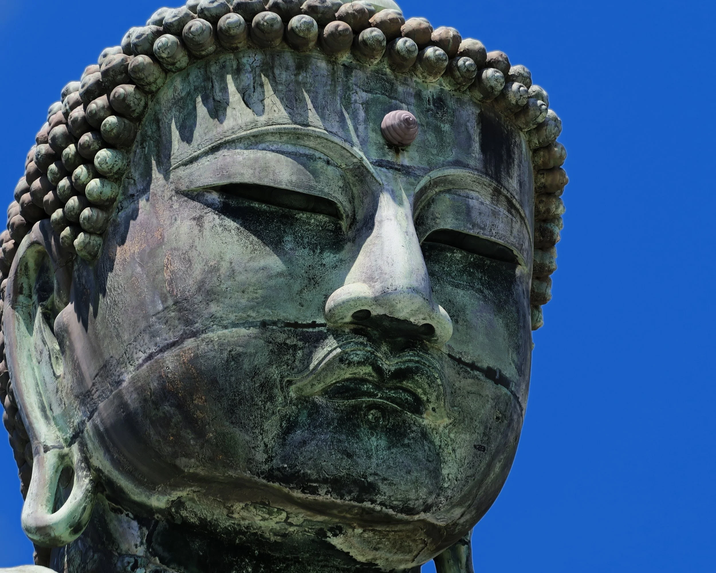 20190809 - 30_DxO.jpg