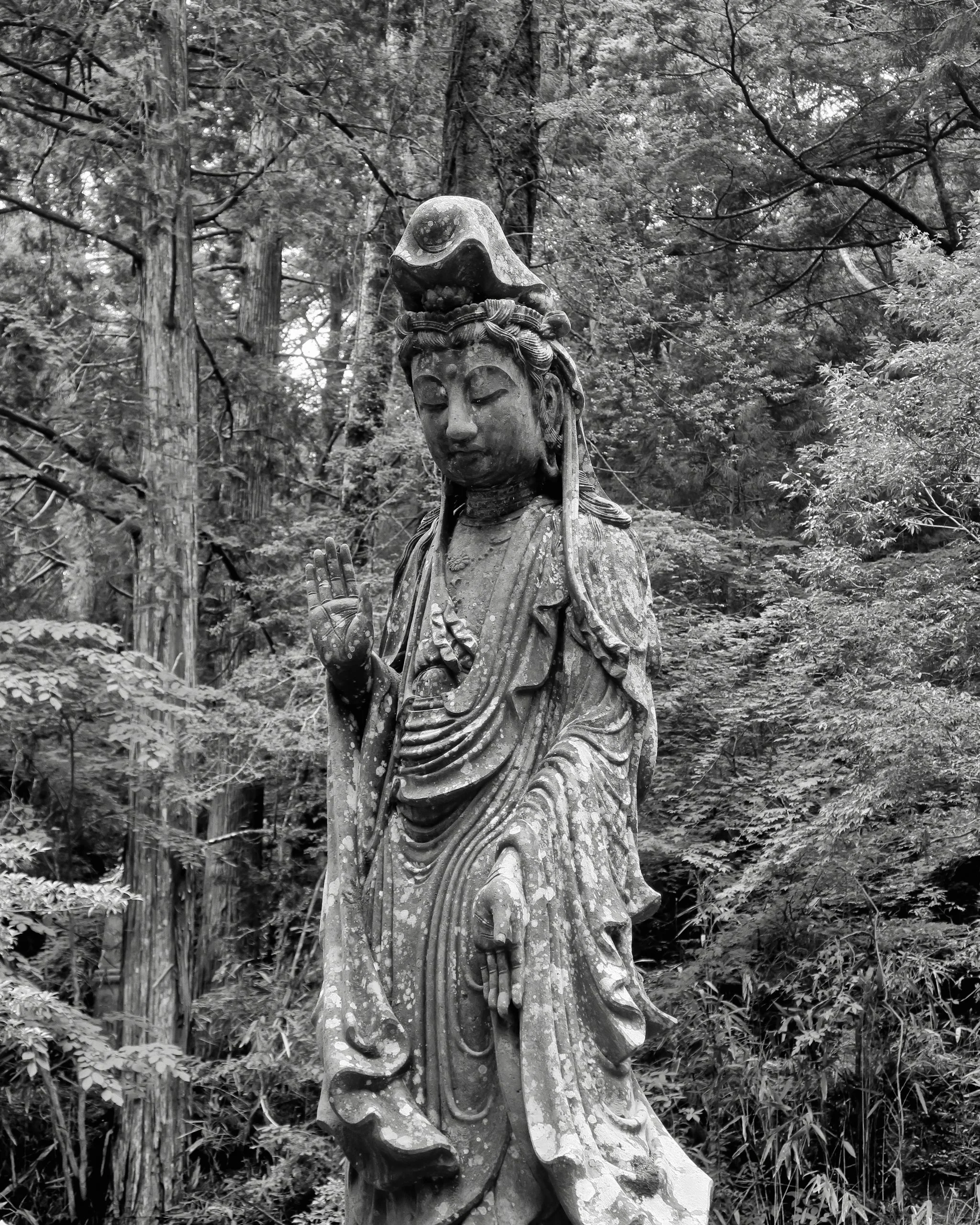 20190722 - 142_Nik_DxO.jpg