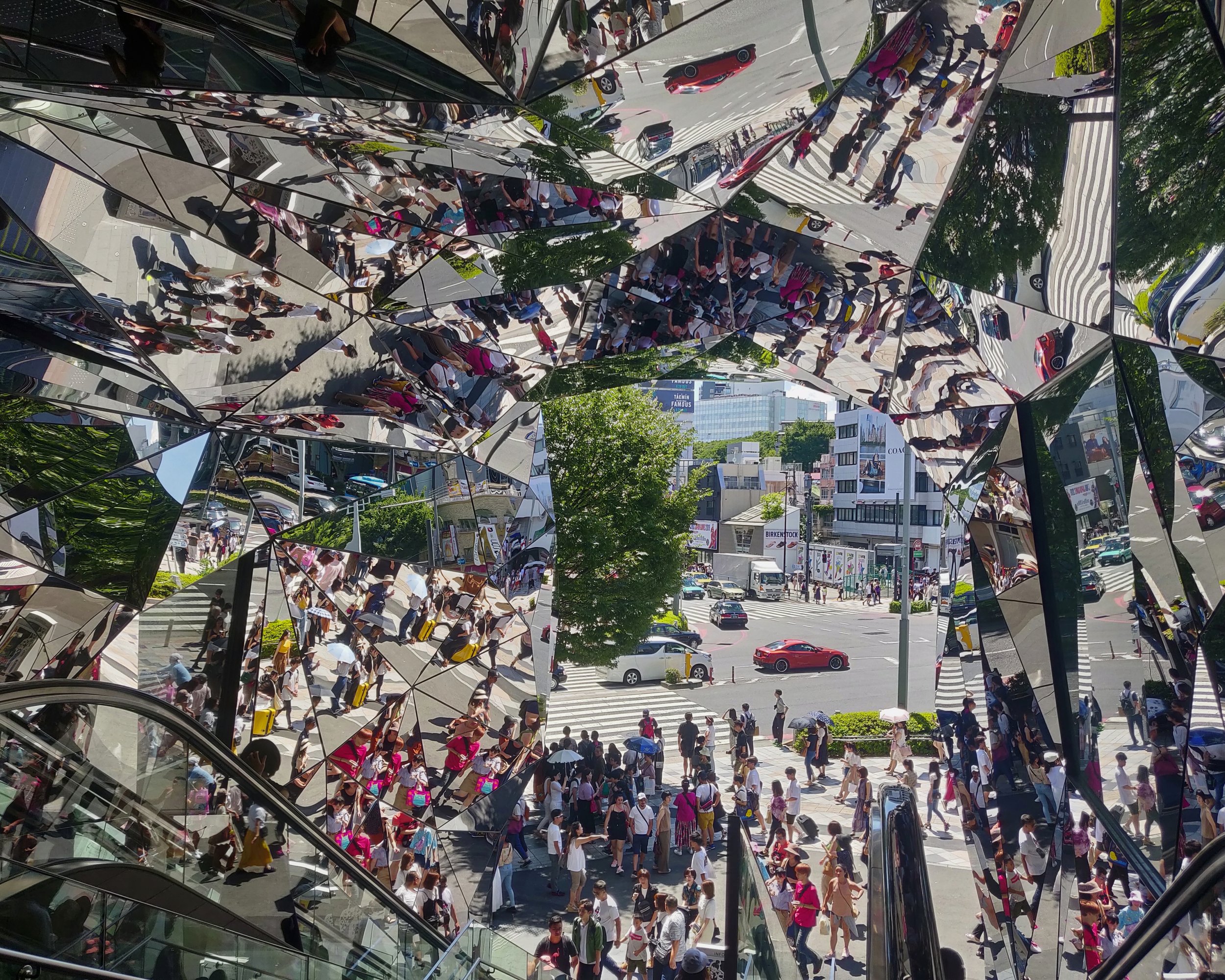 20190811 - 66_DxO.jpg