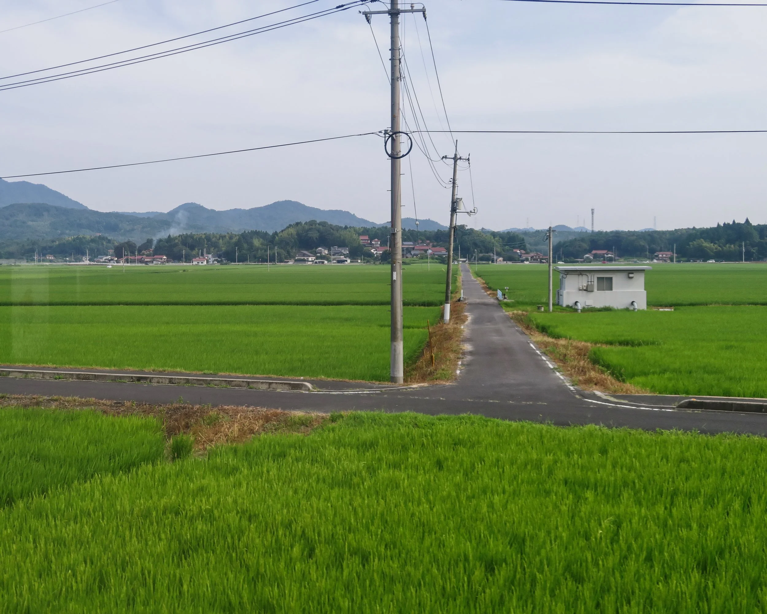 20190729 - 3_DxO.jpg