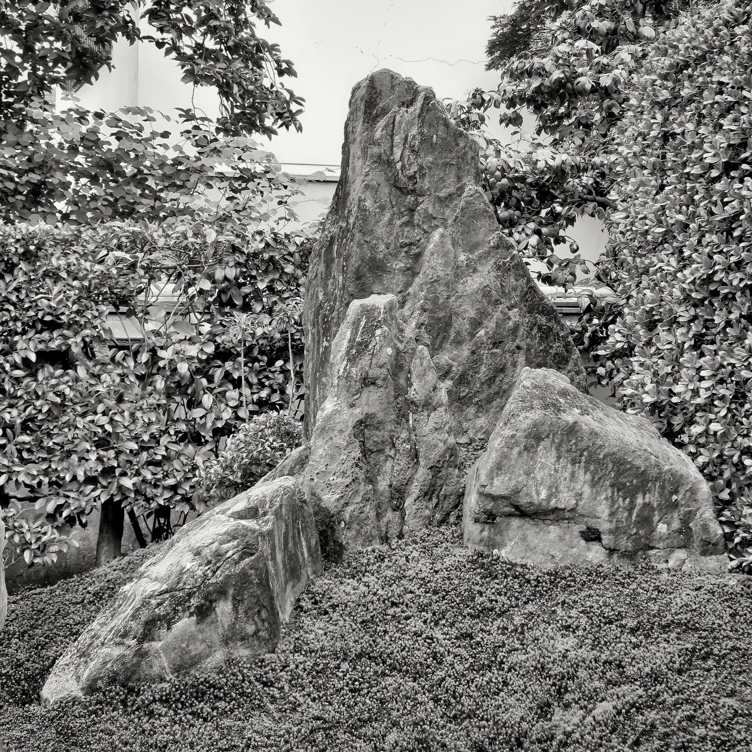 20190718 - 136_Nik_DxO.jpg