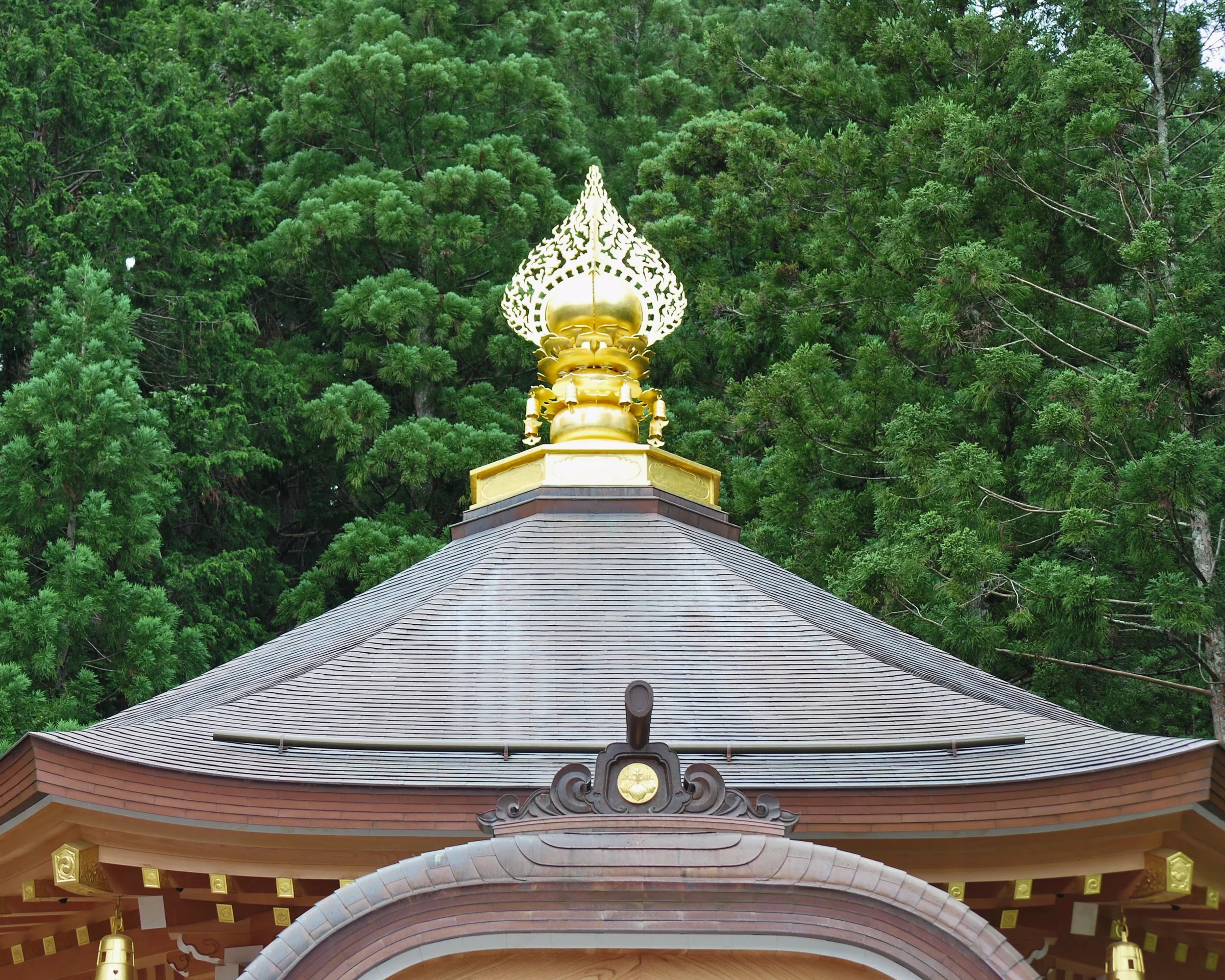 20190722 - 98_DxO.jpg