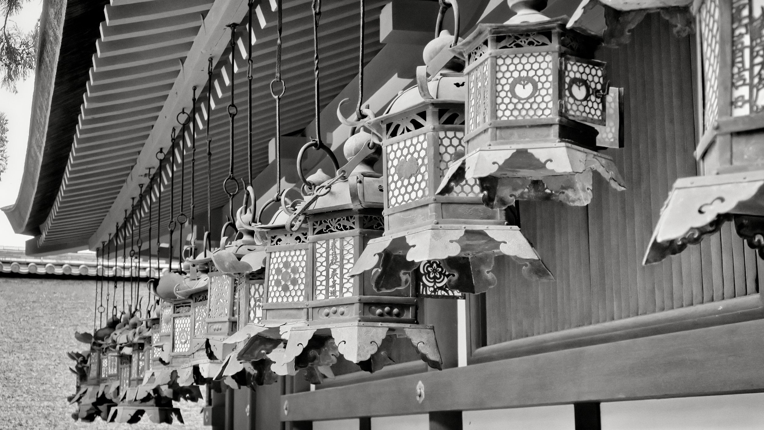 20190716 - 172_Nik_DxO.jpg