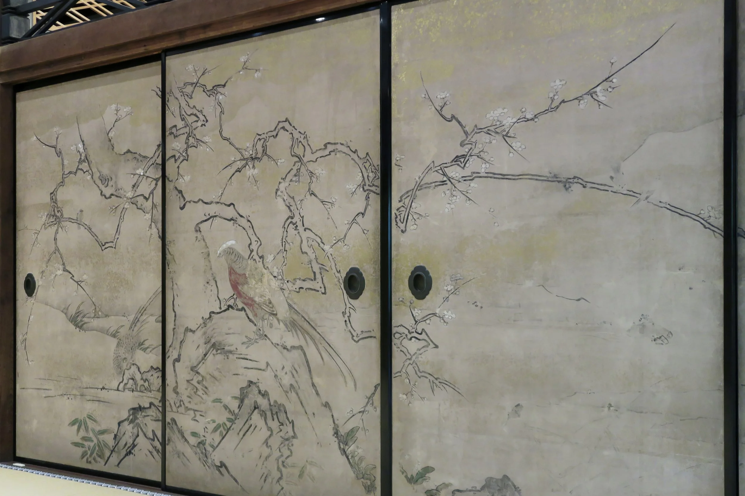 20190719 - 172_DxO.jpg