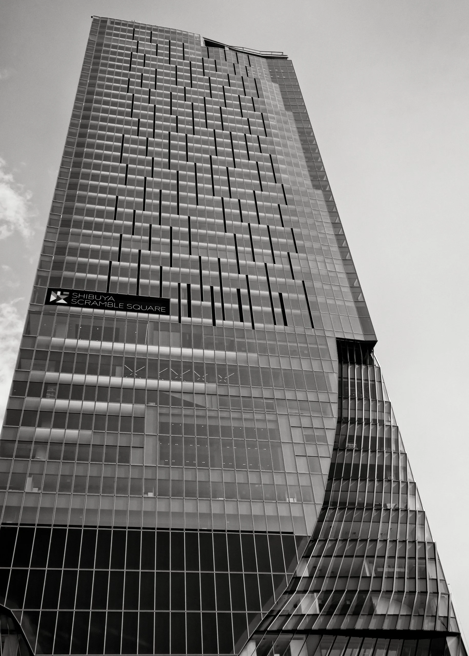 20190811 - 117_Nik_DxO.jpg