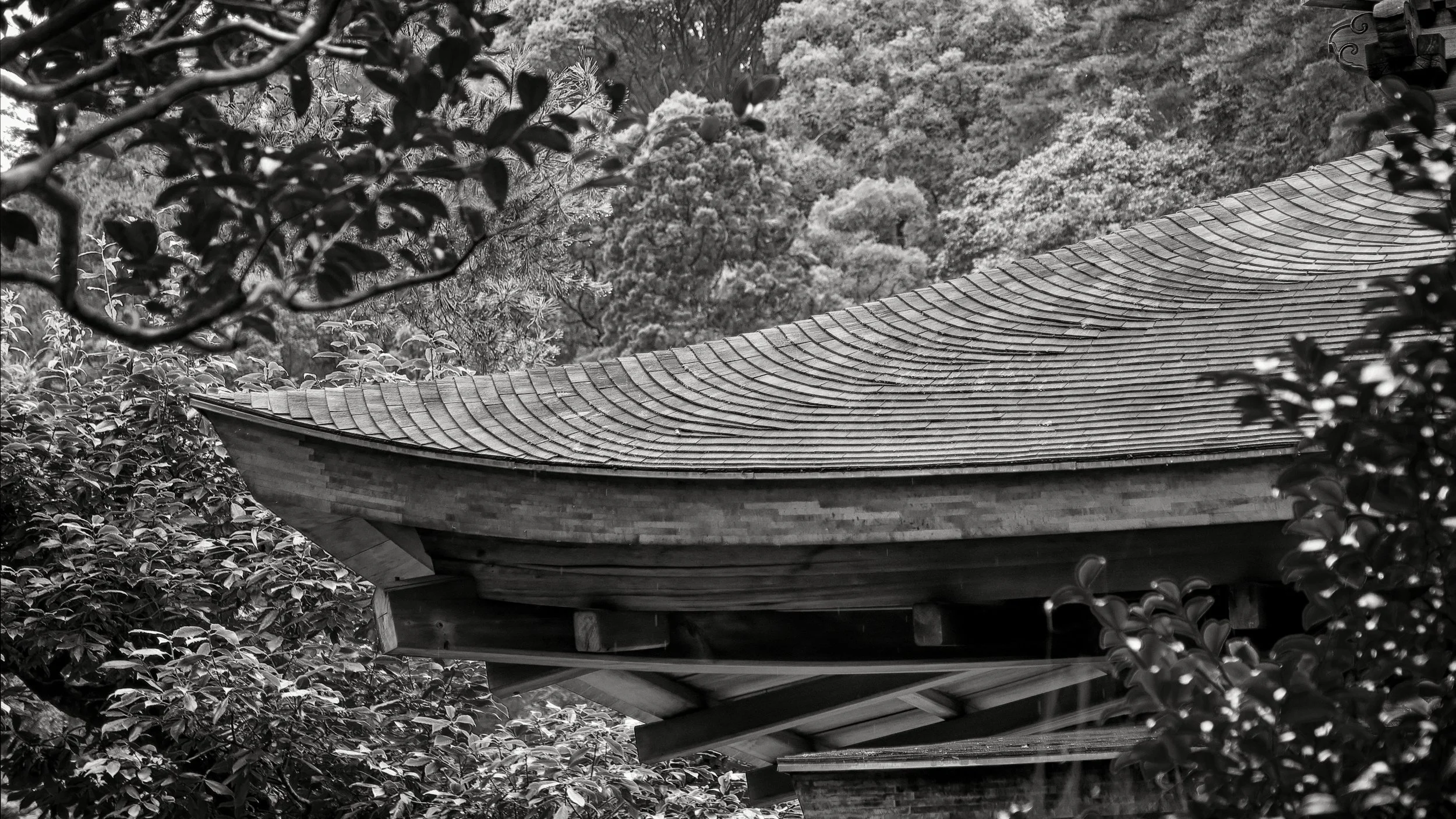 20190719 - 135_Nik_DxO.jpg