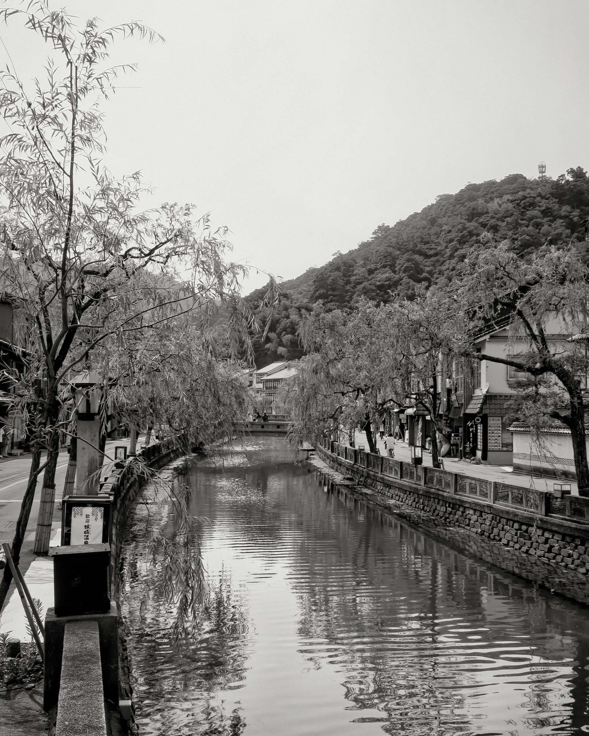 20190731 - 5_Nik_DxO.jpg