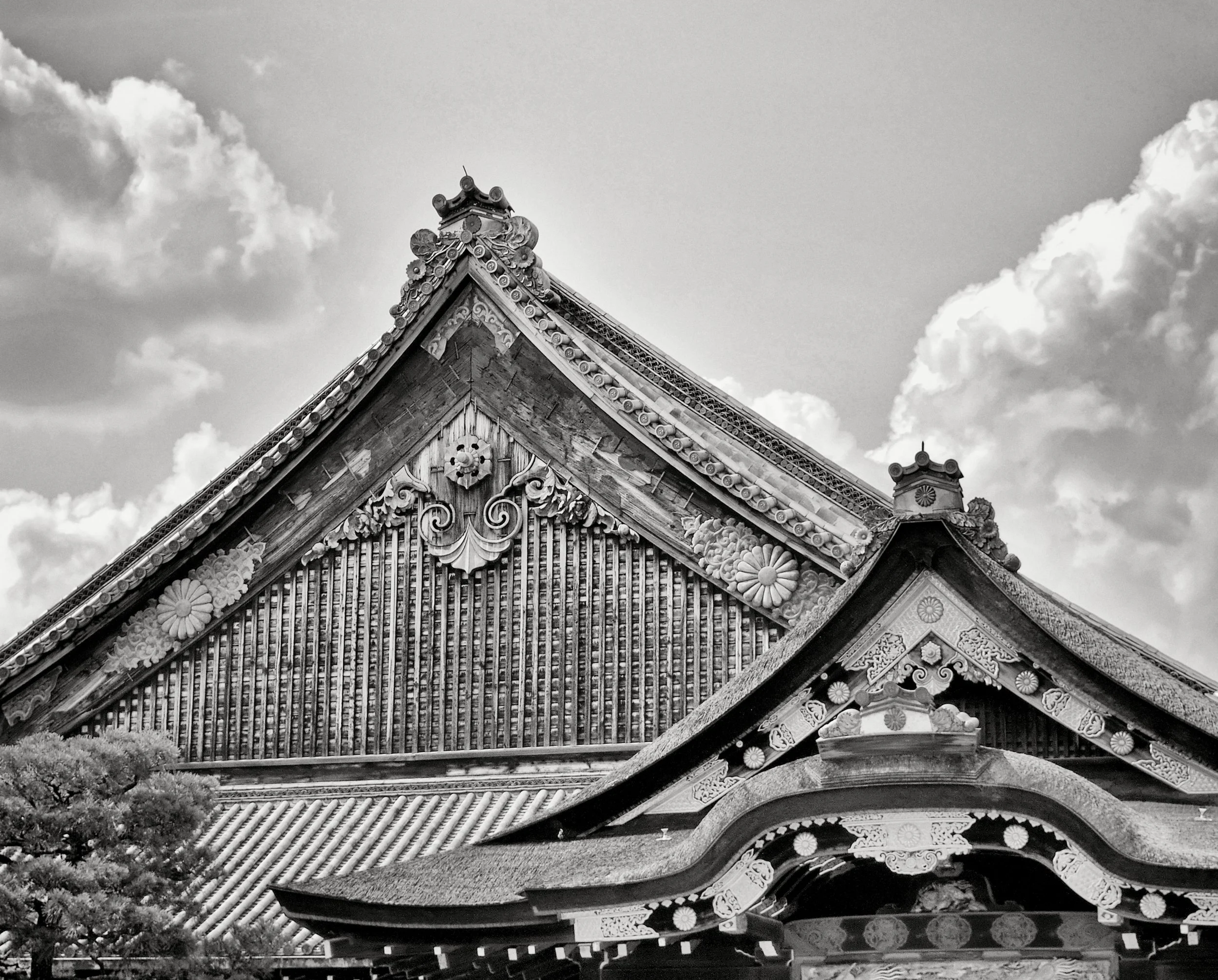 20190717 - 185_Nik_DxO.jpg