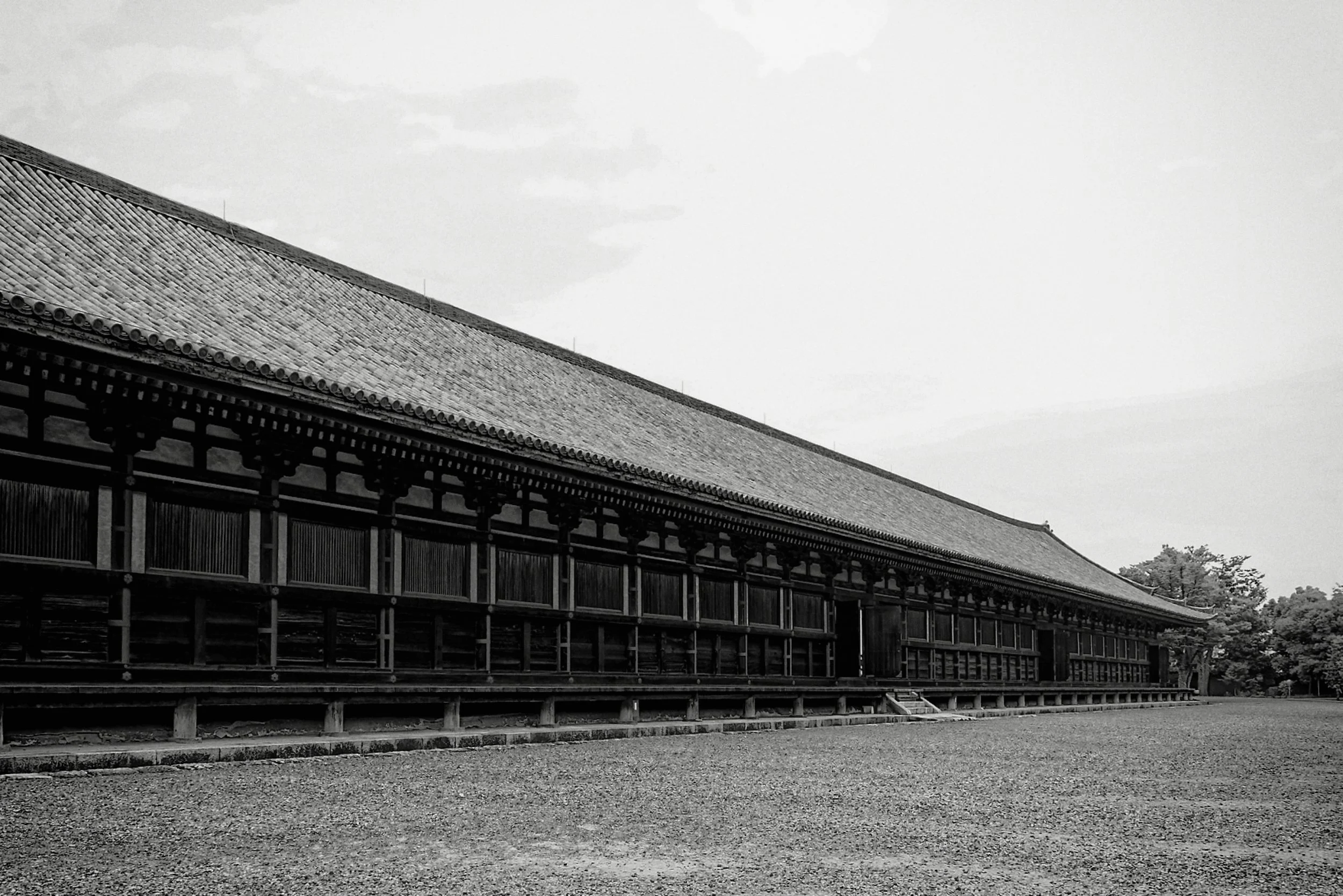 20190720 - 212_Nik-SEP_DxO.jpg