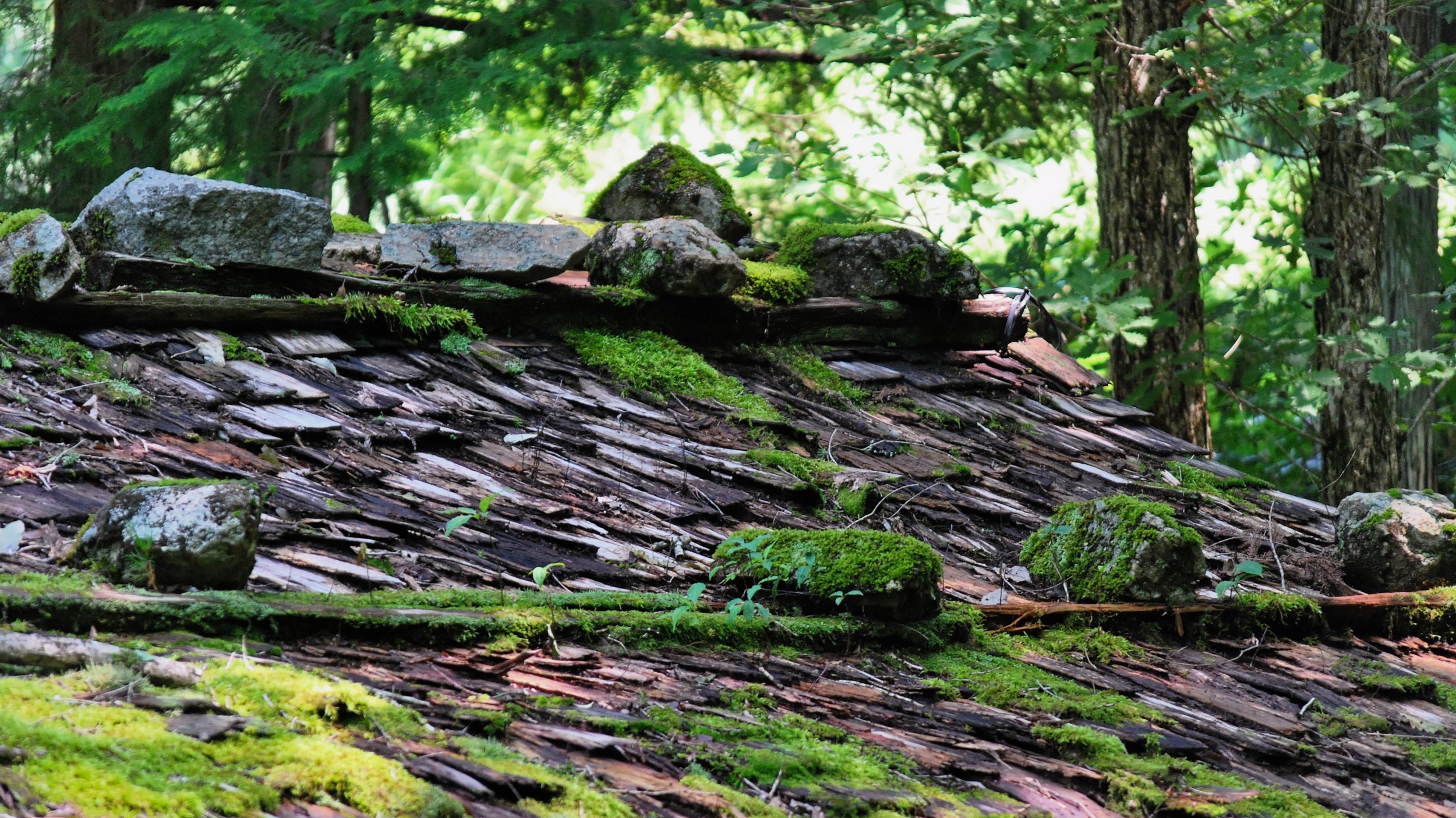 20190803 - 16_DxO.jpg