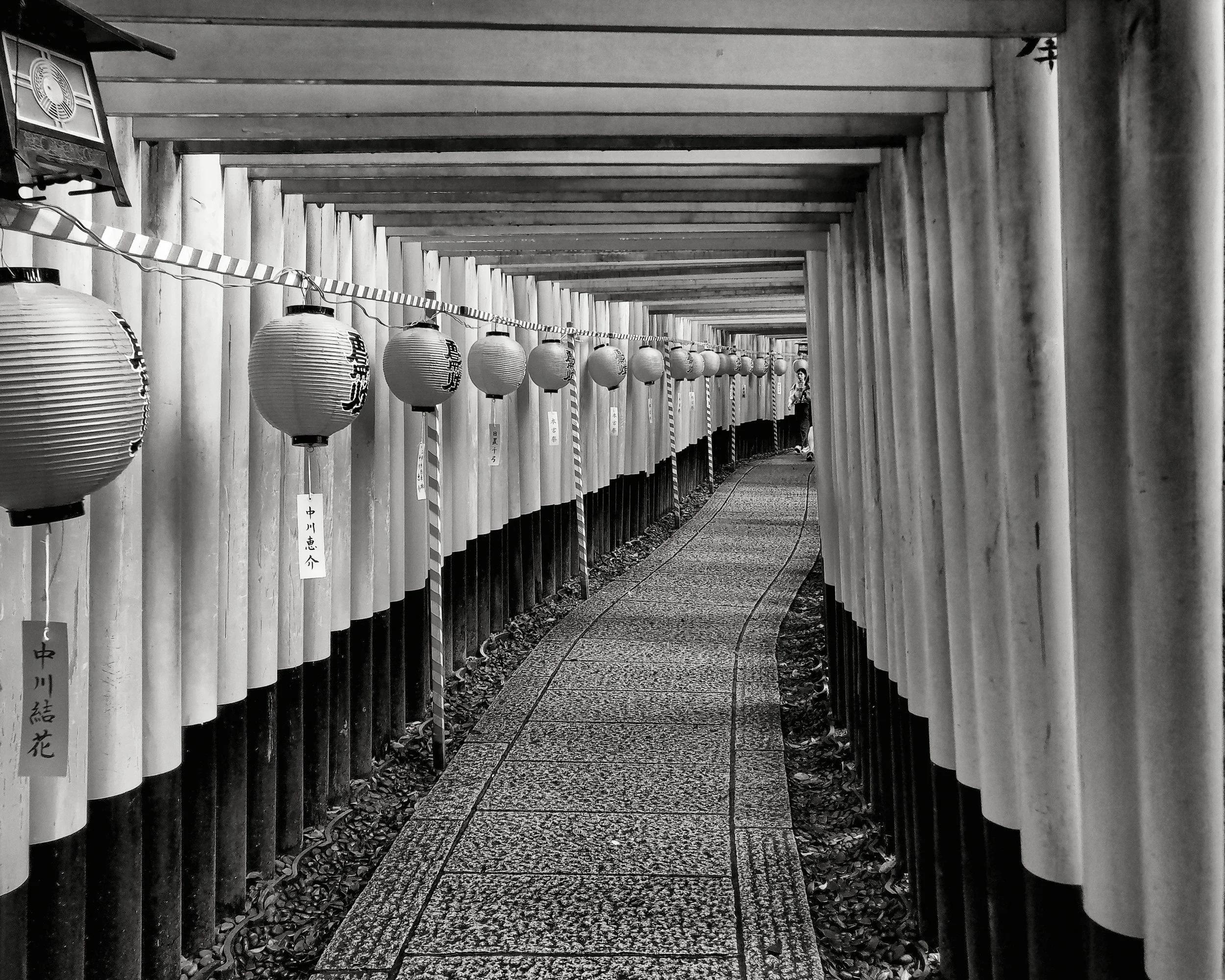 20190720 - 23_Nik_DxO.jpg