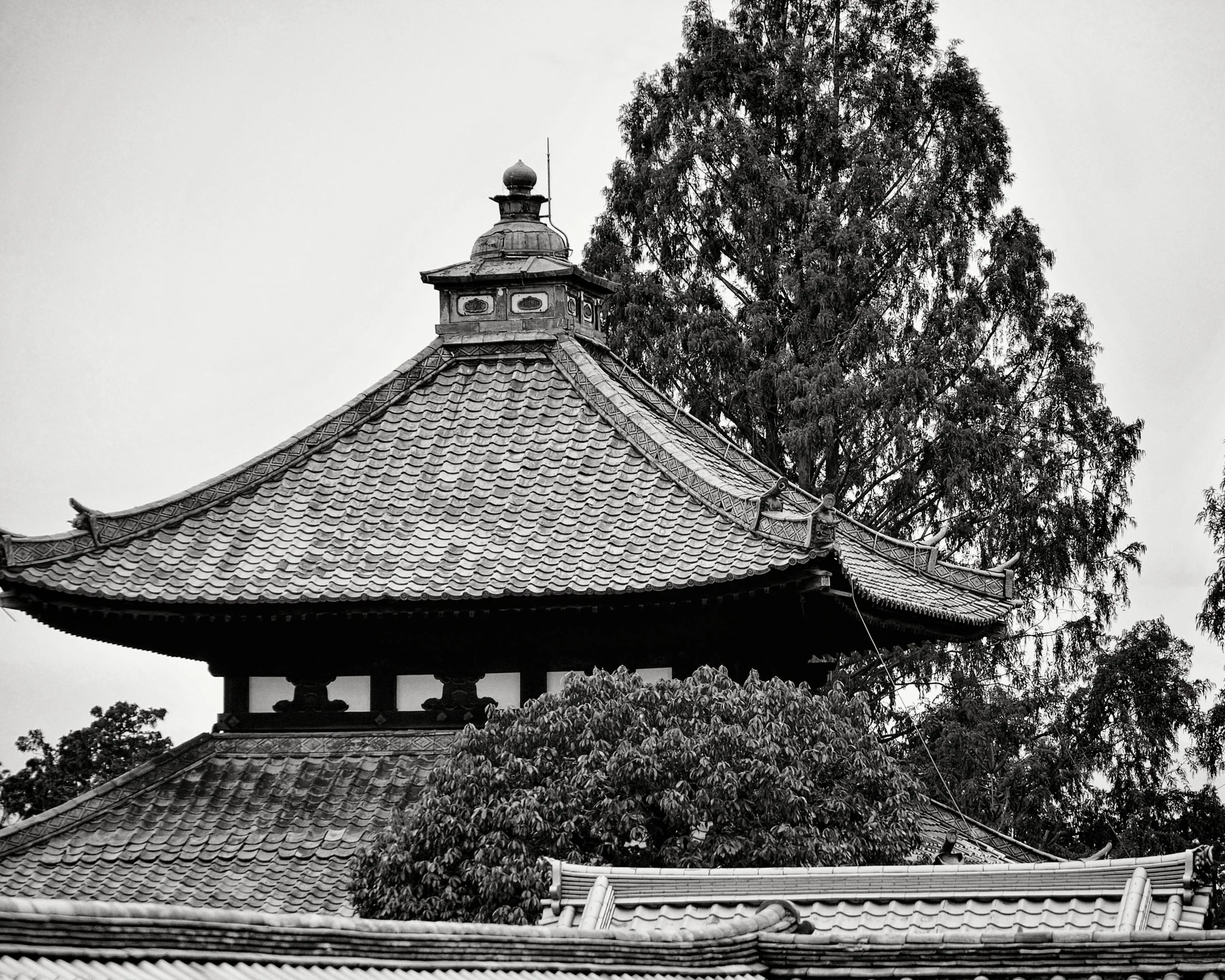 20190720 - 124_Nik_DxO.jpg