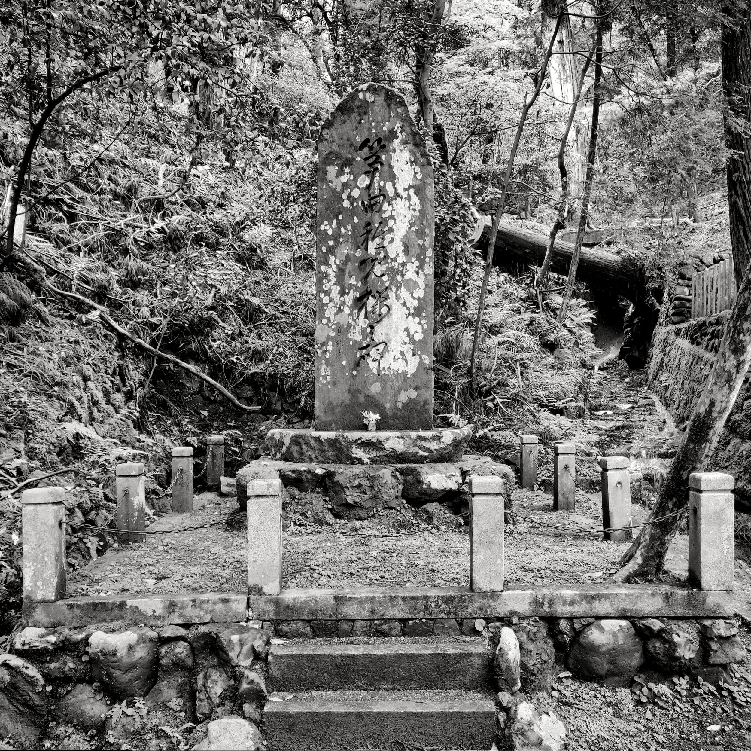 20190715 - 39_Nik_DxO.jpg