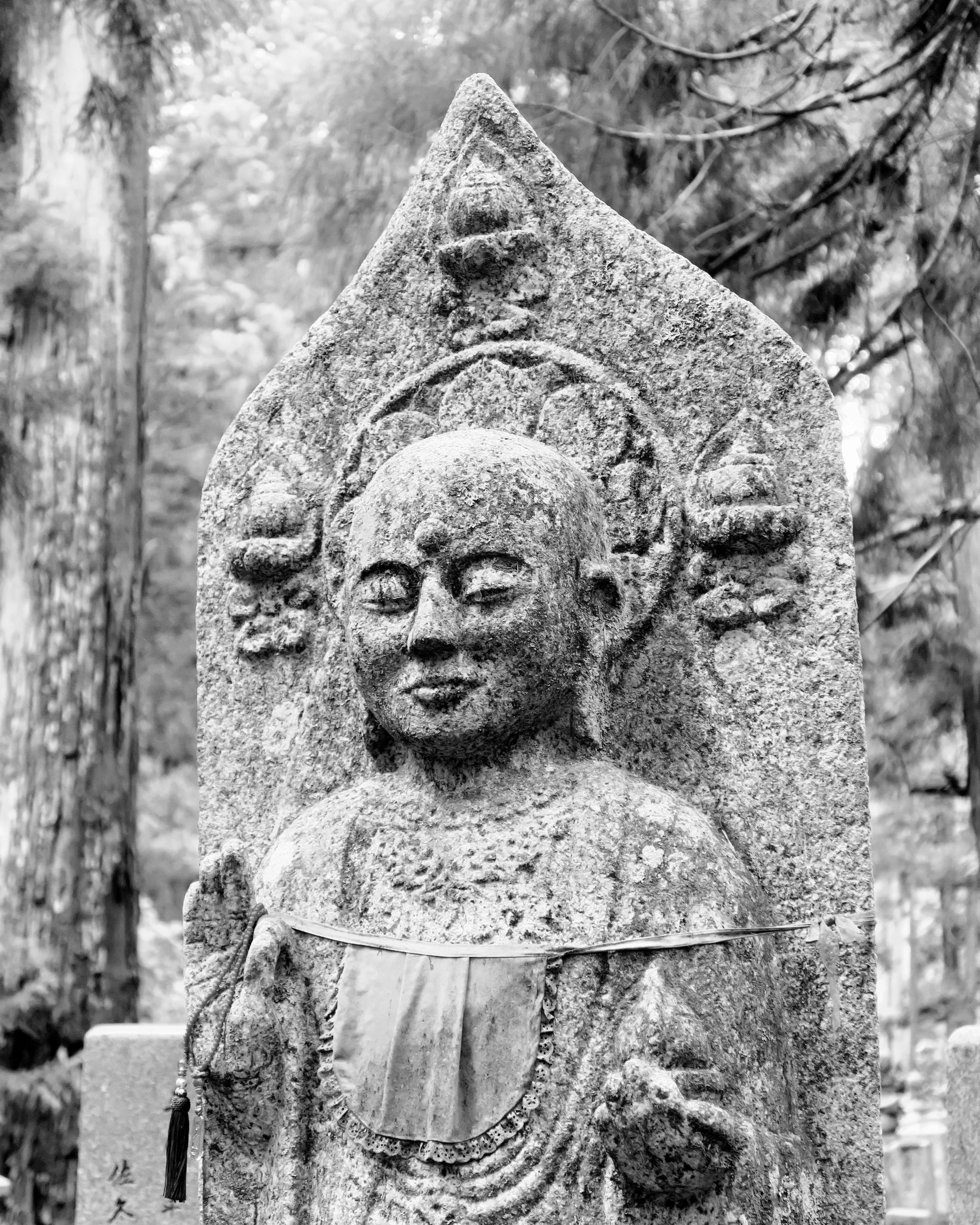 20190722 - 151_Nik_DxO.jpg