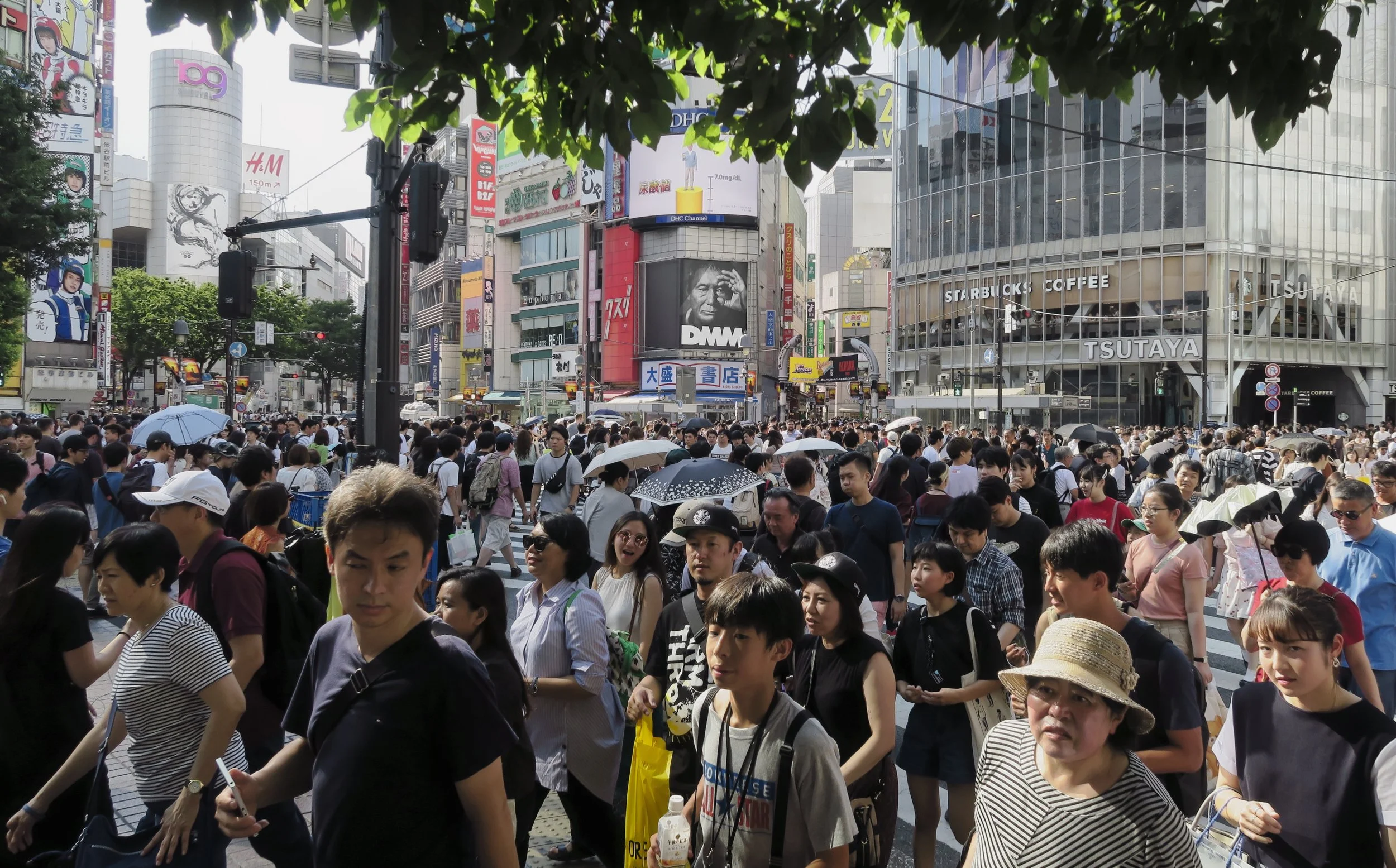 20190811 - 128_Nik-Viveza_DxO.jpg