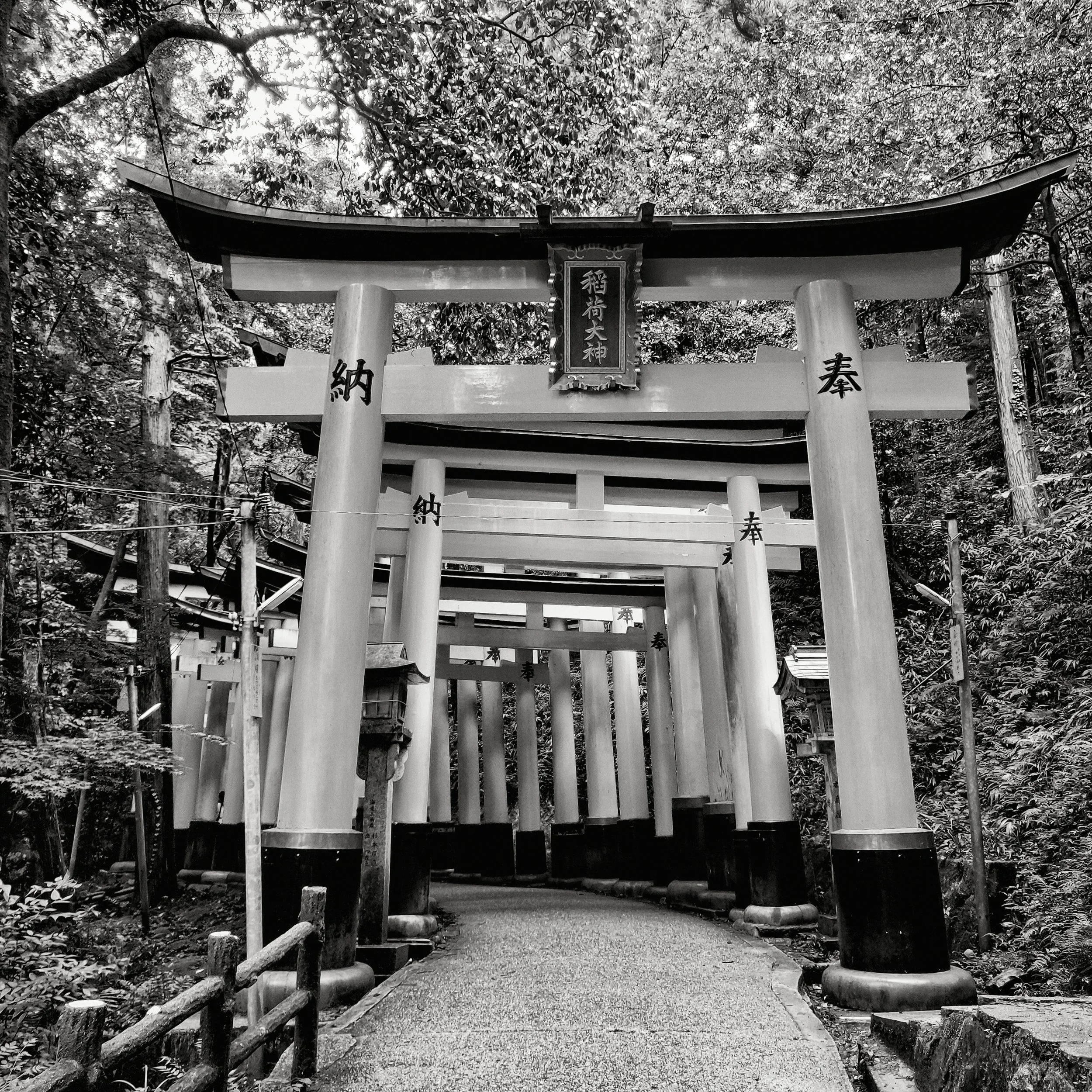 20190720 - 38_Nik_DxO.jpg