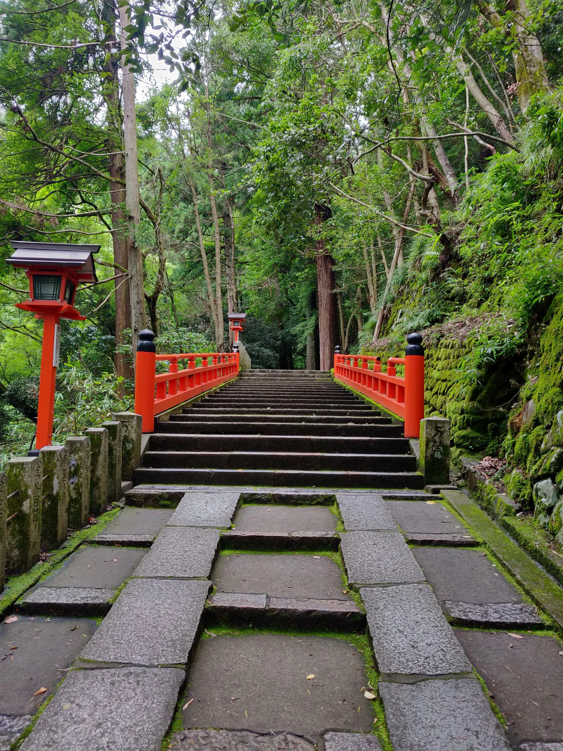 20190715 - 47_DxO.jpg