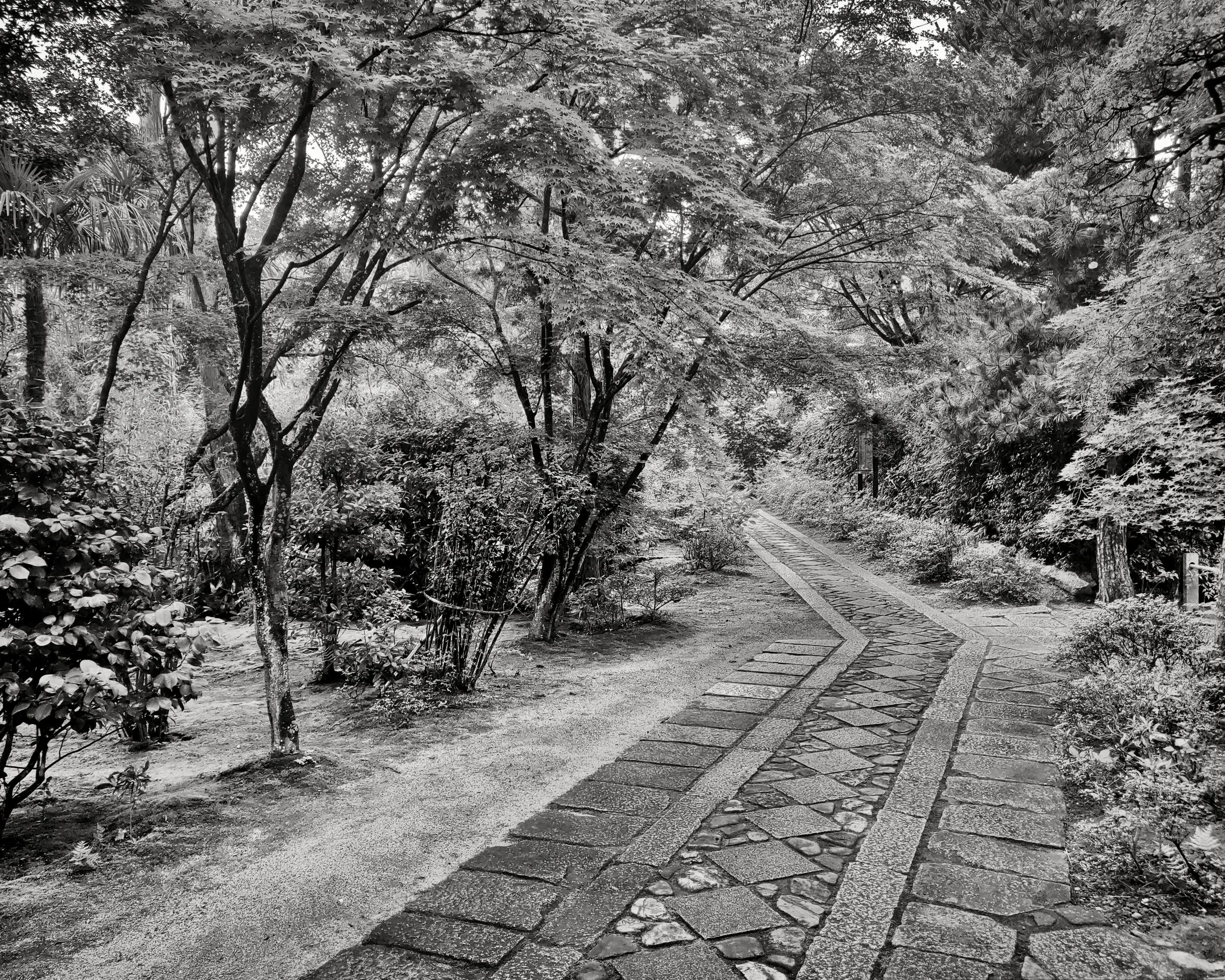 20190718 - 4_Nik_DxO.jpg