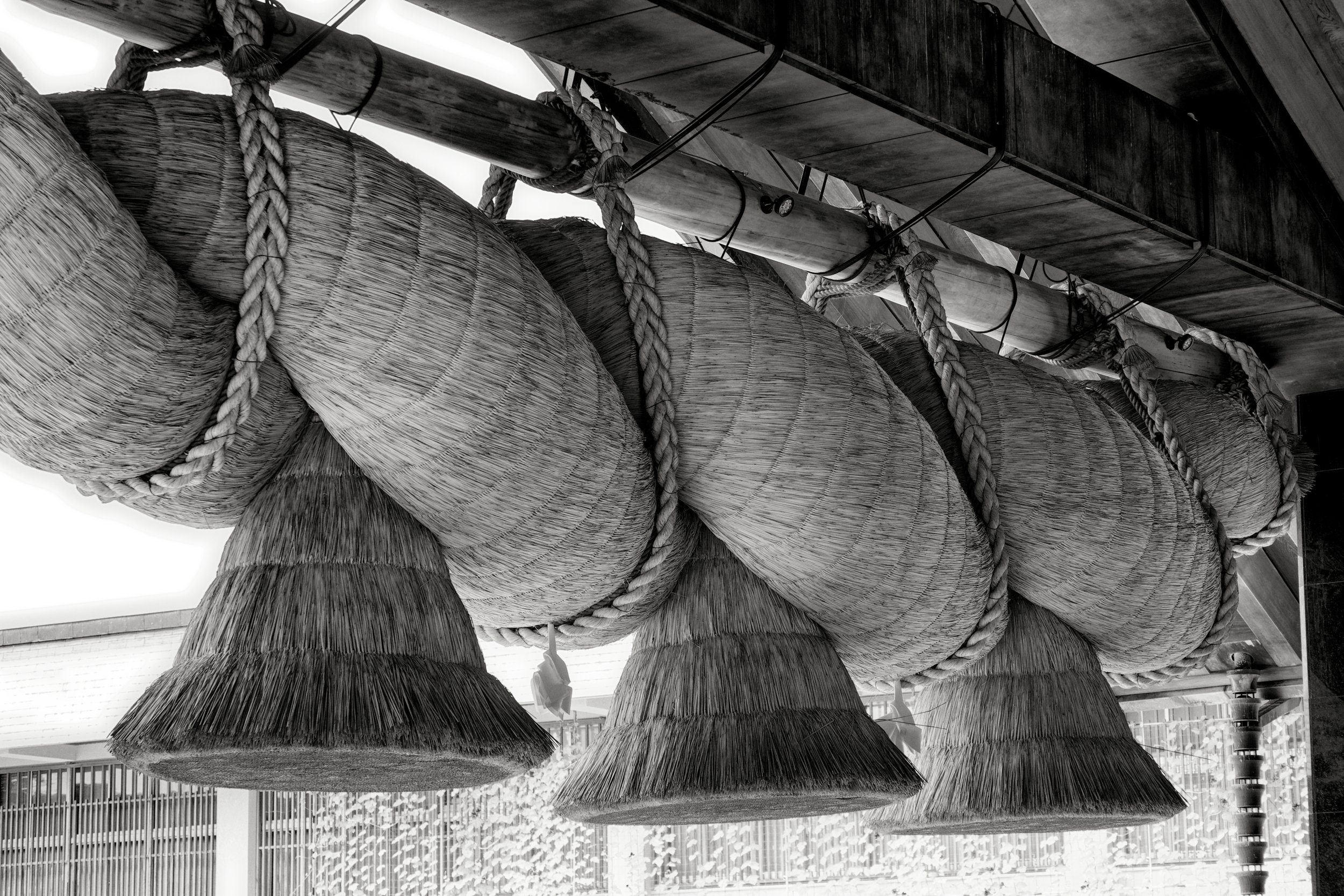 20190729 - 36_Nik_DxO.jpg