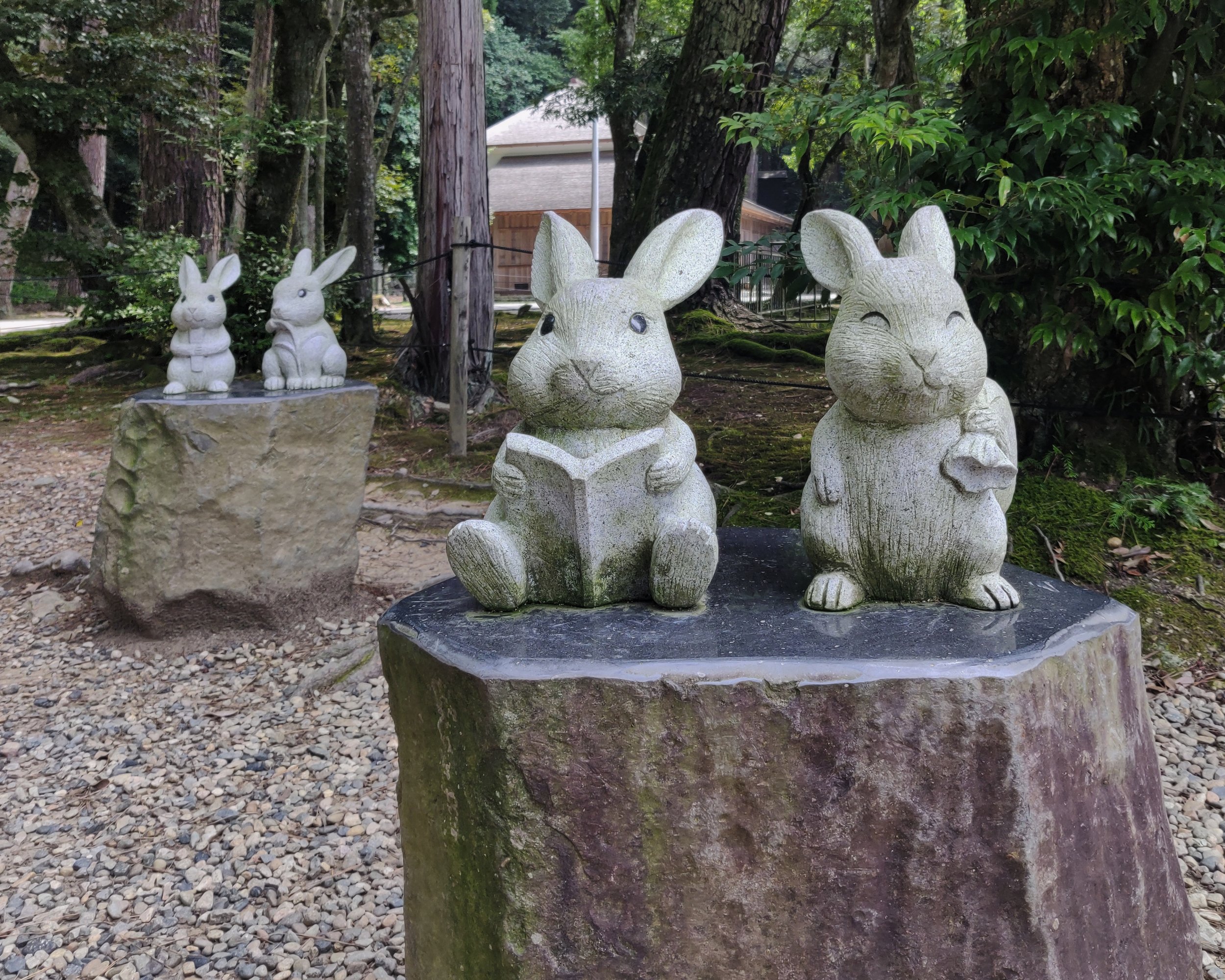 20190729 - 62_DxO.jpg