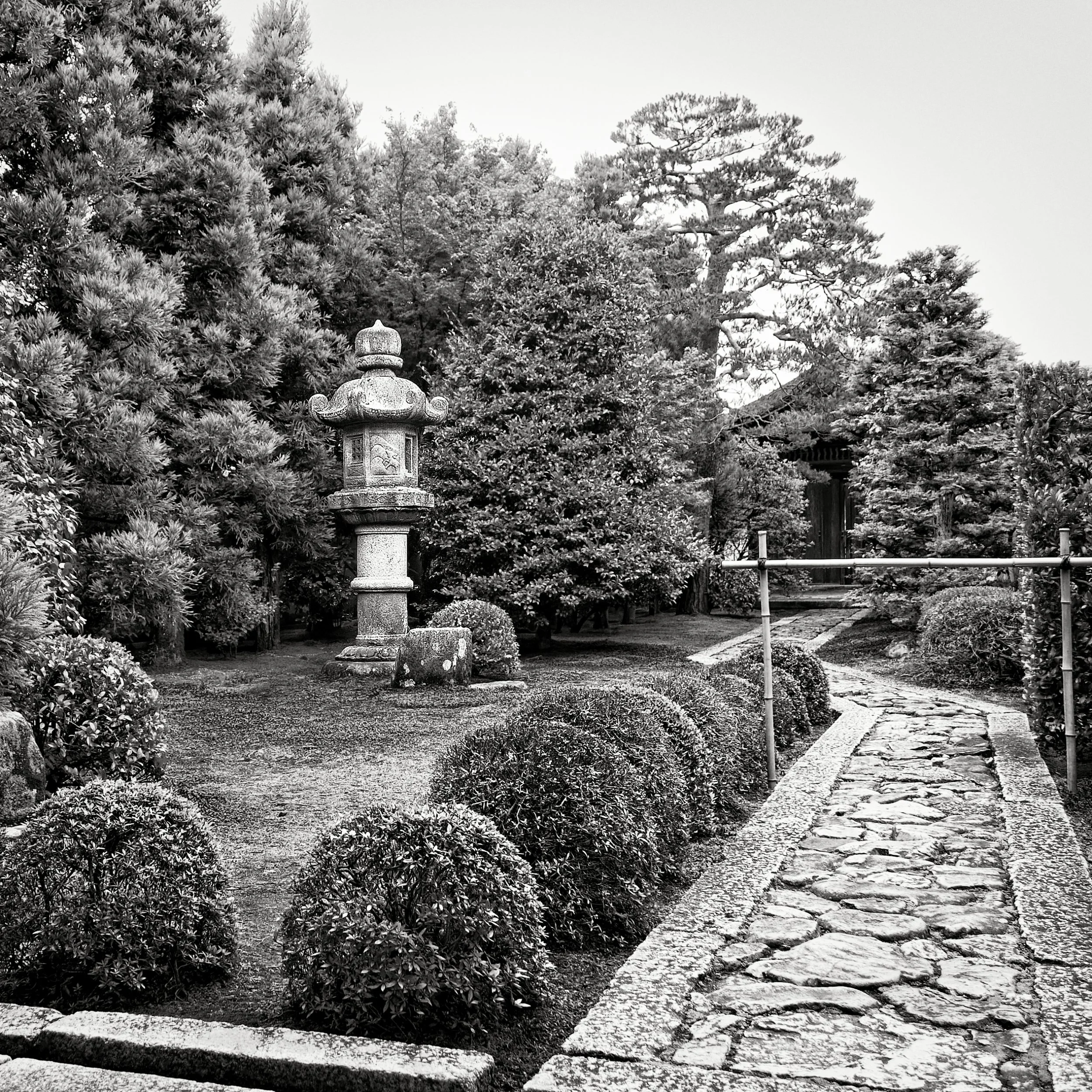 20190718 - 23_Nik_DxO.jpg