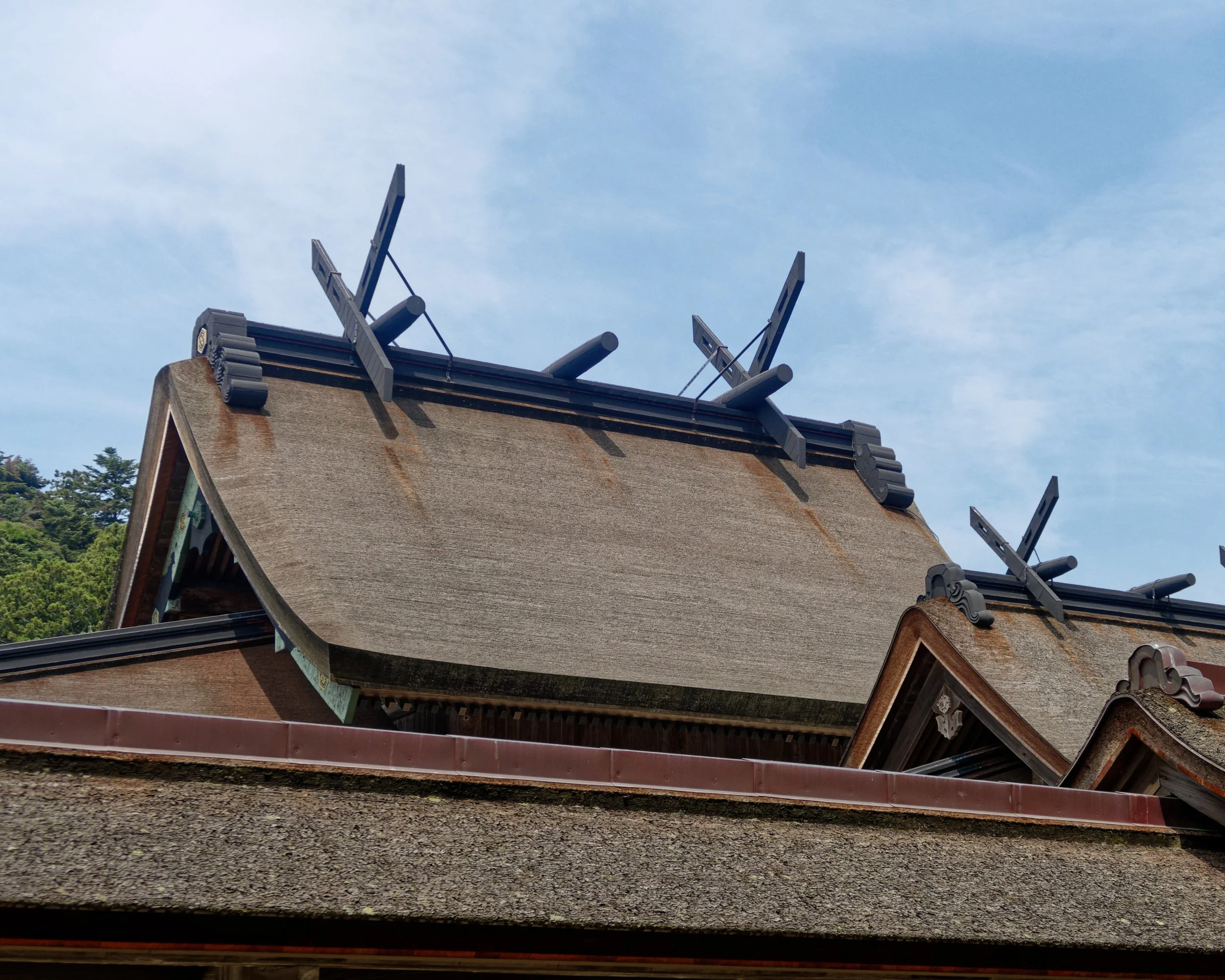 20190729 - 53_DxO.jpg