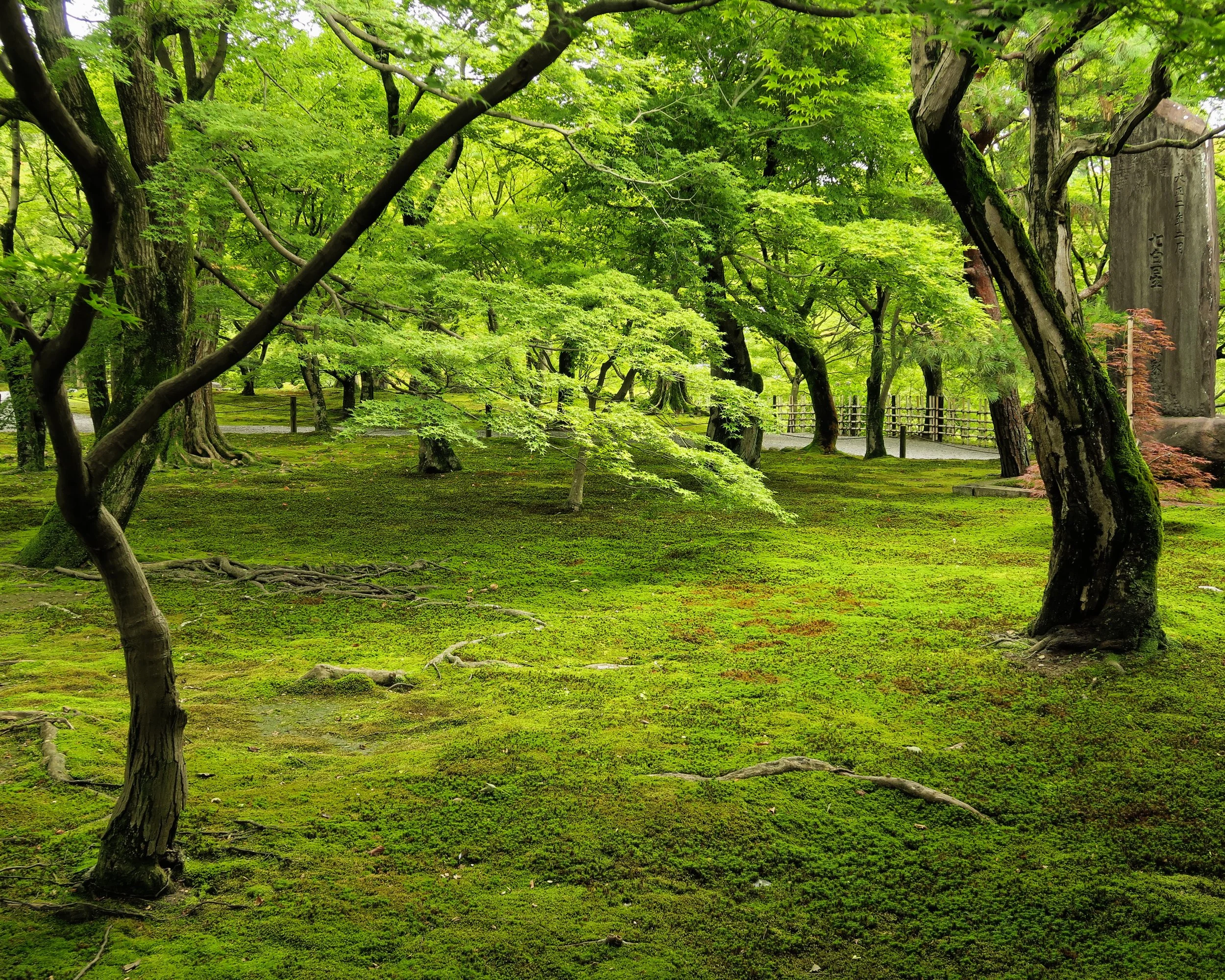 20190720 - 144_DxO.jpg