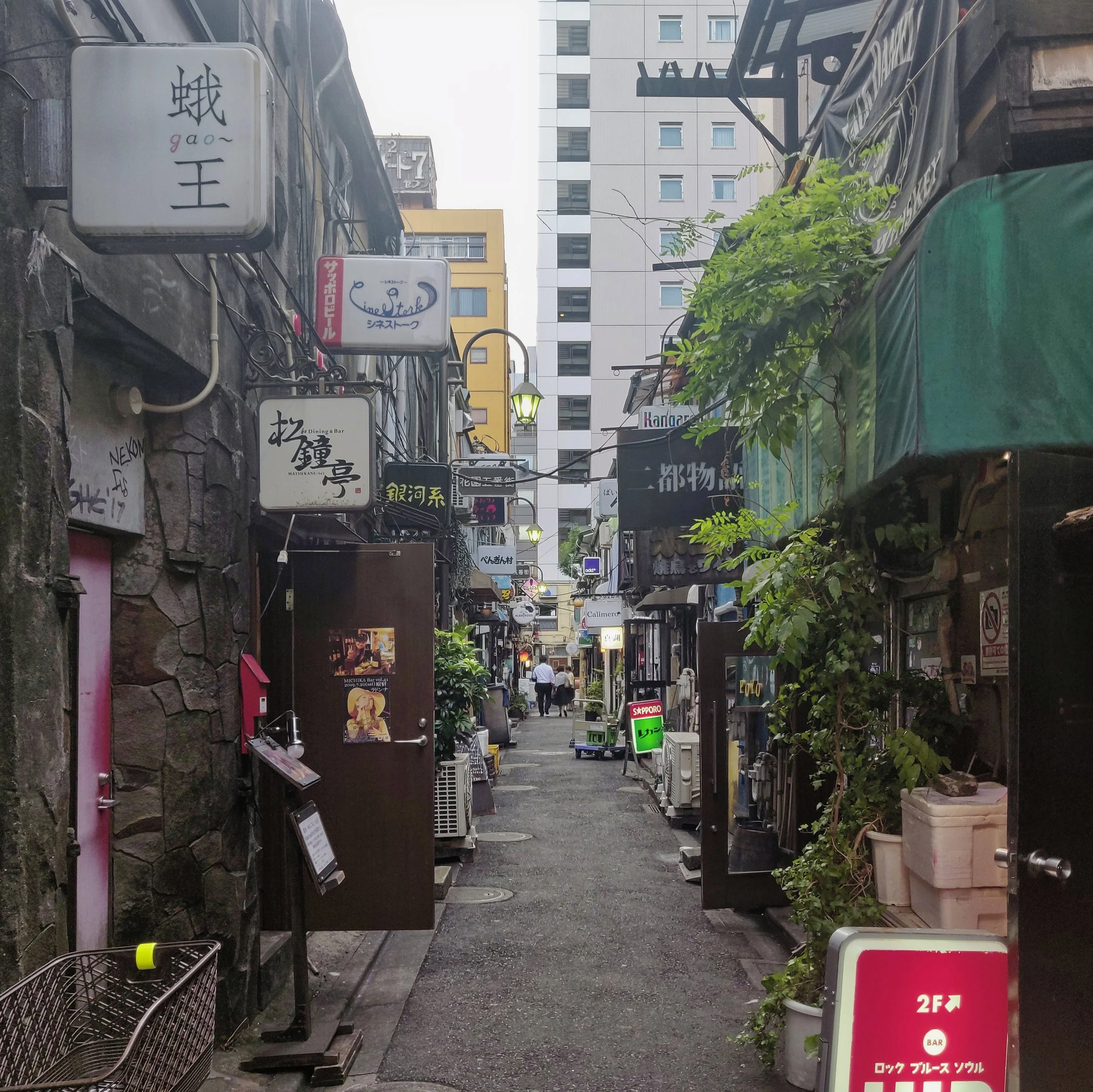 20190807 - 155_DxO.jpg