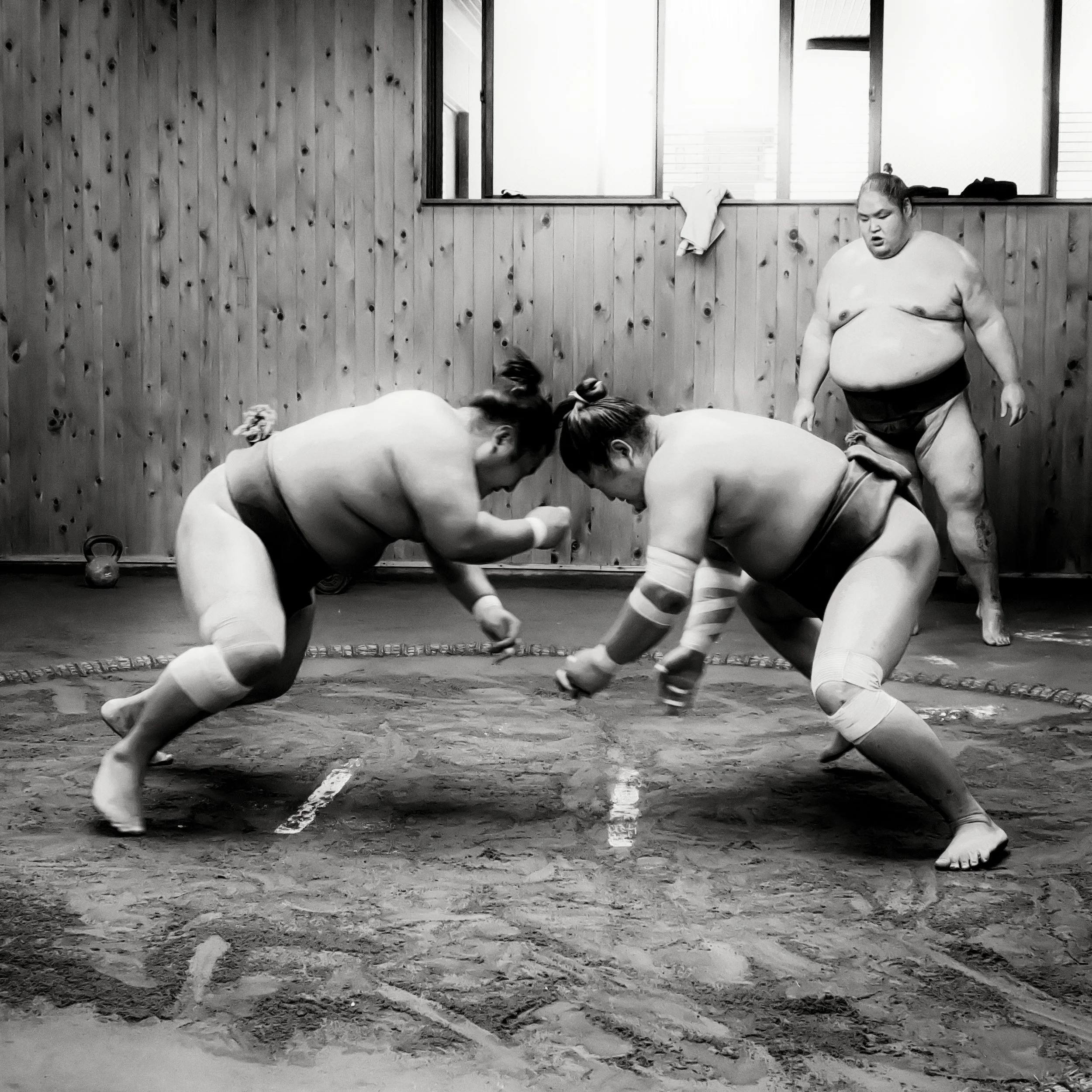 20190808 - 60_Nik-Viveza_Nik_DxO.jpg