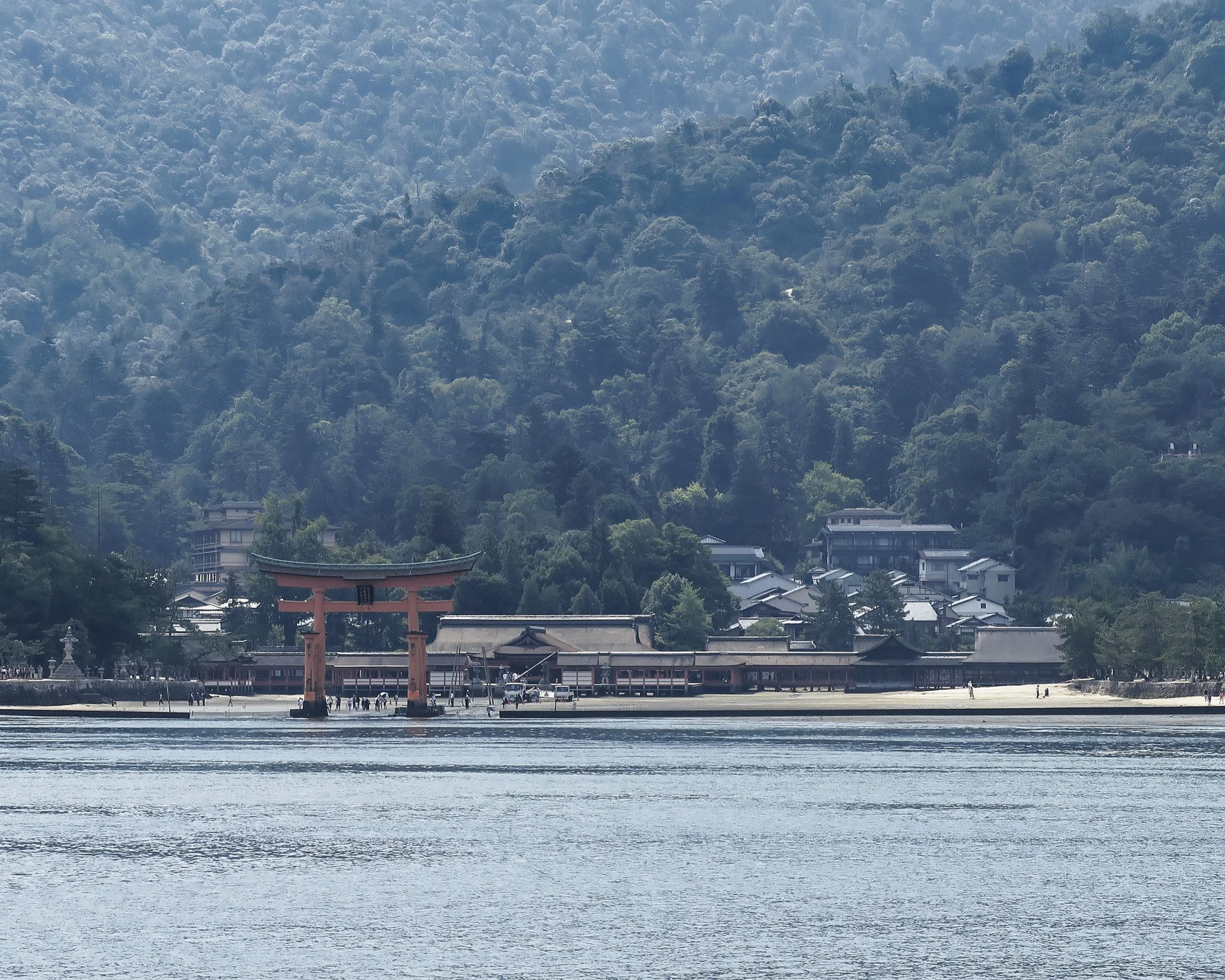 20190726 - 5_DxO.jpg